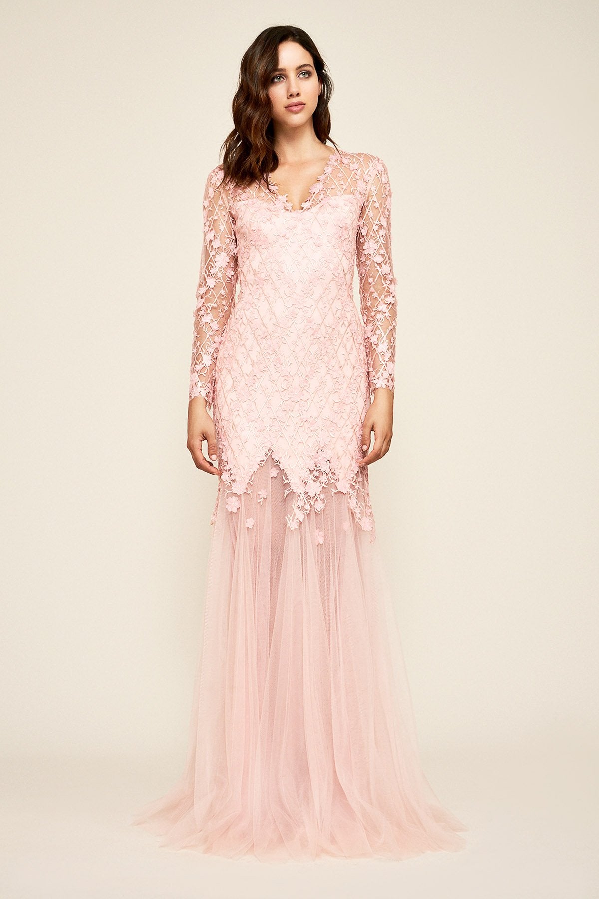 Ruza Embroidered Tulle Gown