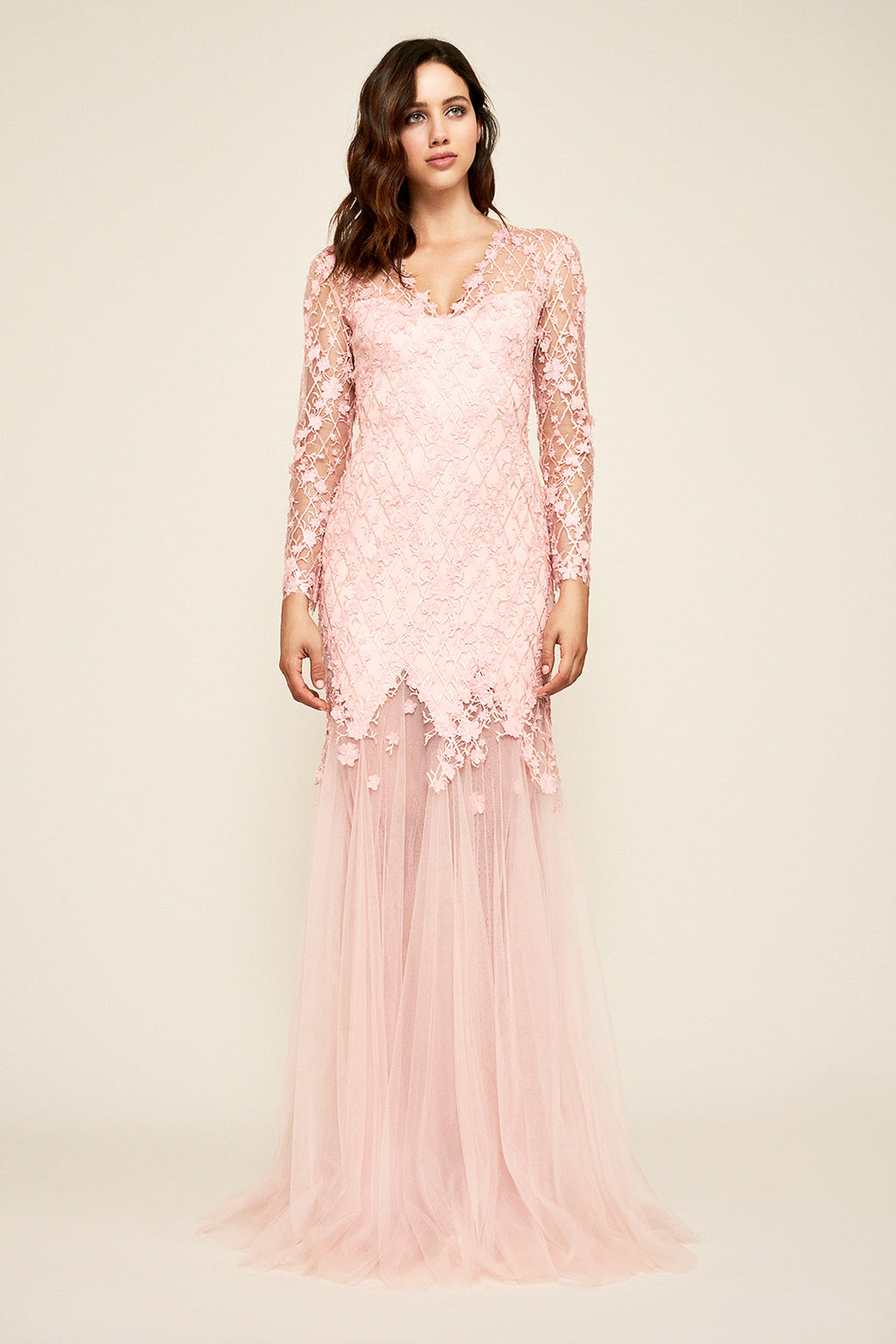 Ruza Embroidered Tulle Gown