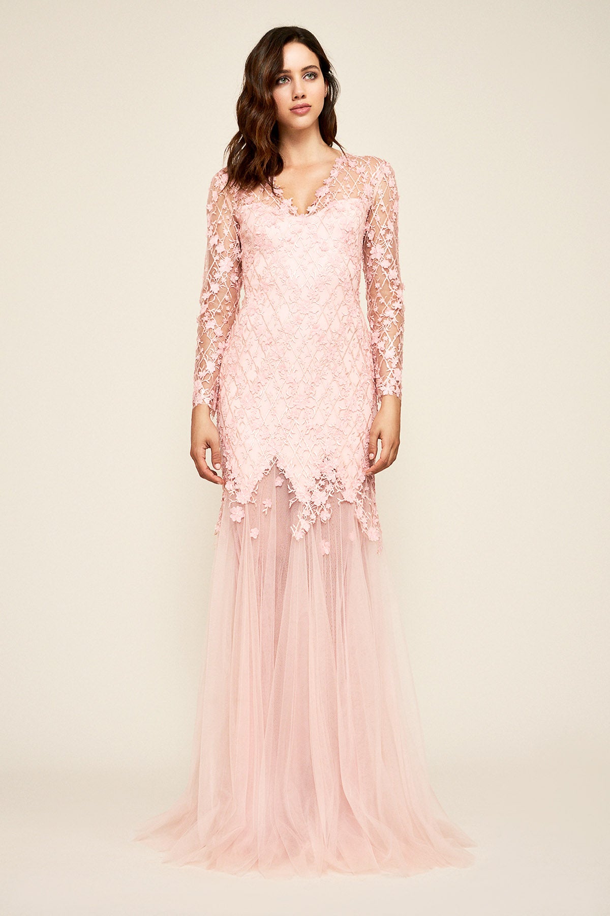 Ruza Embroidered Tulle Gown