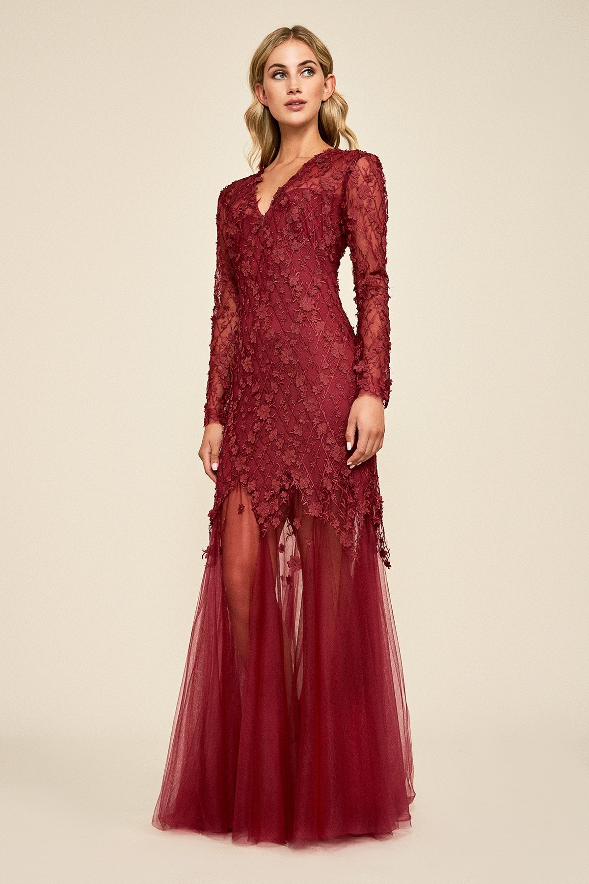 Ruza Embroidered Tulle Gown