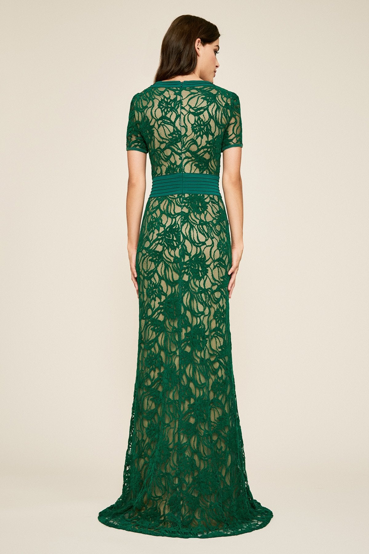Cloelia Lace Gown - PETITE – Tadashi Shoji Official Online Boutique
