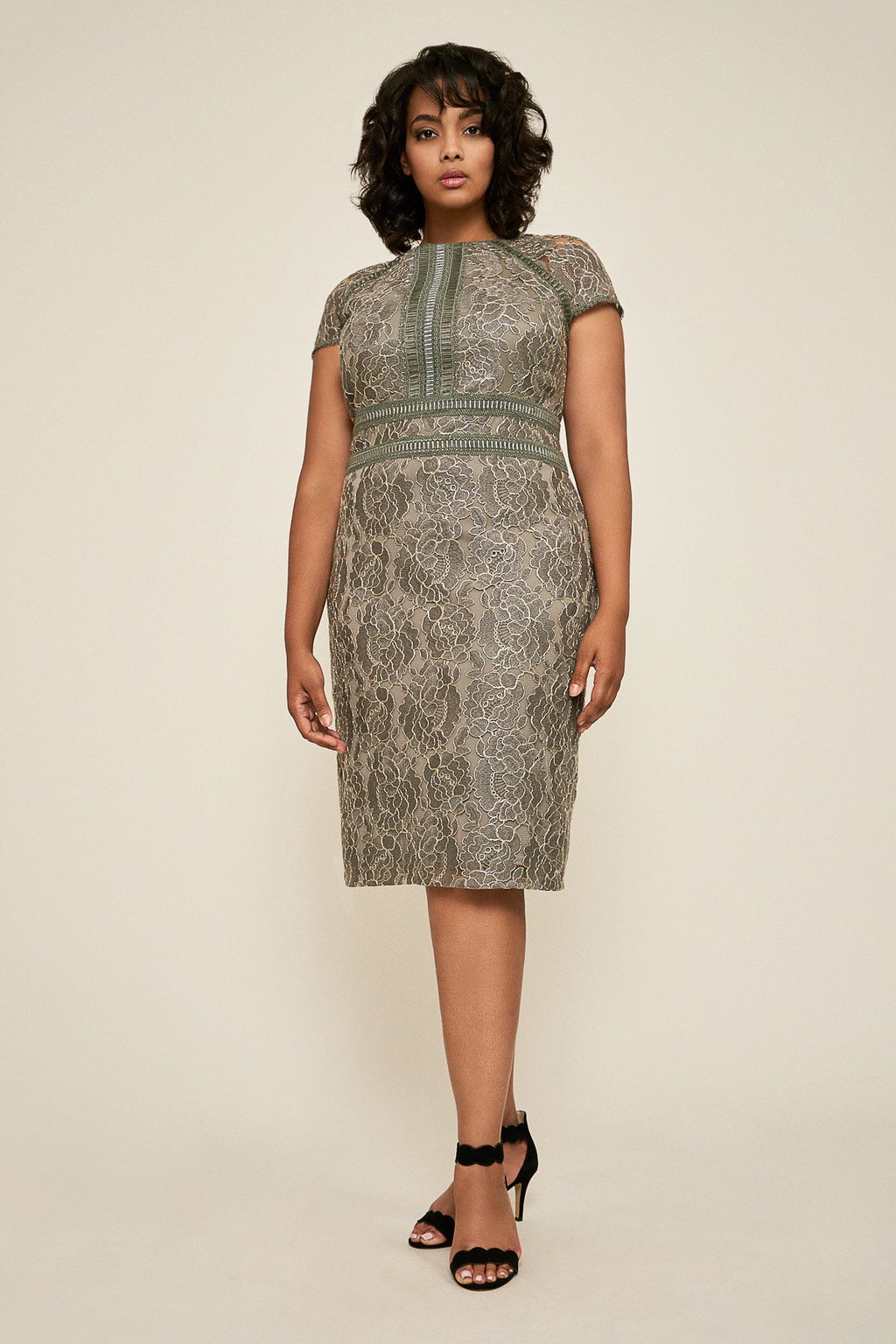 Tadashi Shoji - Runyon Lace Embroidered Dress - PLUS SIZE