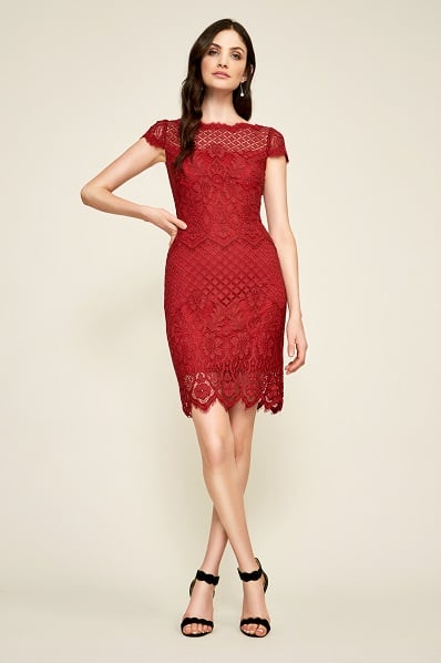 Tadashi Shoji - Bazil Sheath Lace Dress