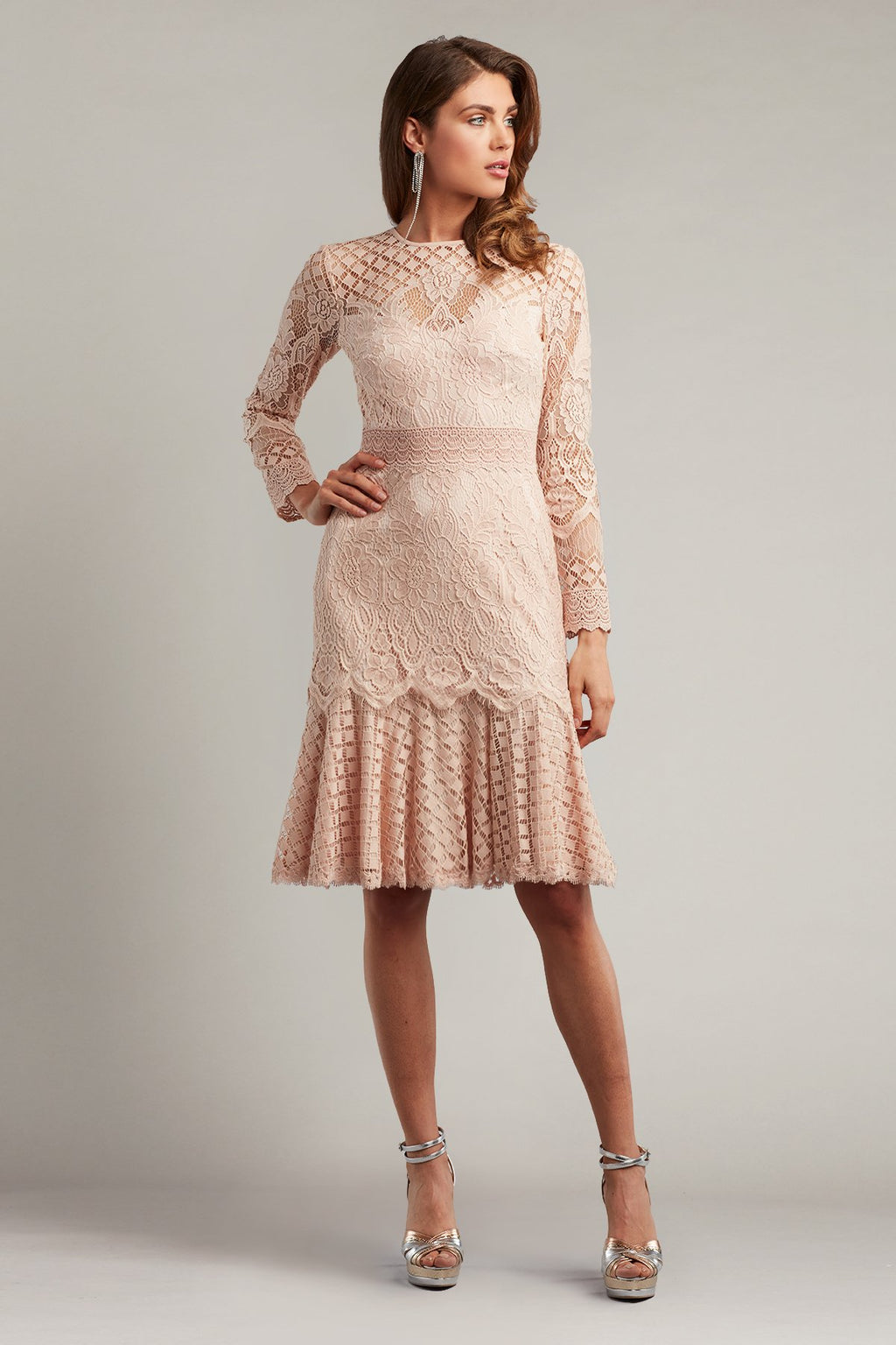 Barron Long-Sleeve Lace Dress