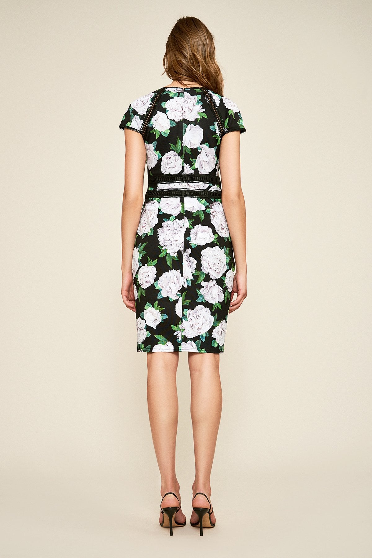 Tadashi Shoji - Indigo Floral Neoprene Dress