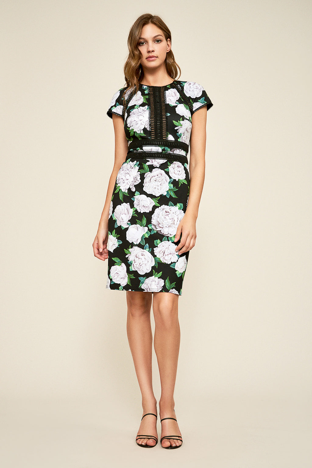 Tadashi Shoji - Indigo Floral Neoprene Dress