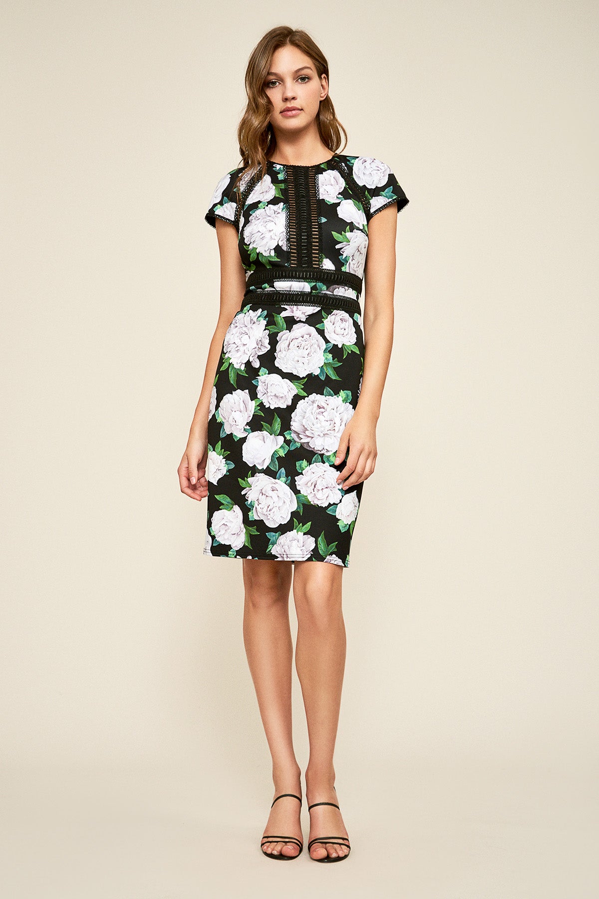 Tadashi Shoji - Indigo Floral Neoprene Dress