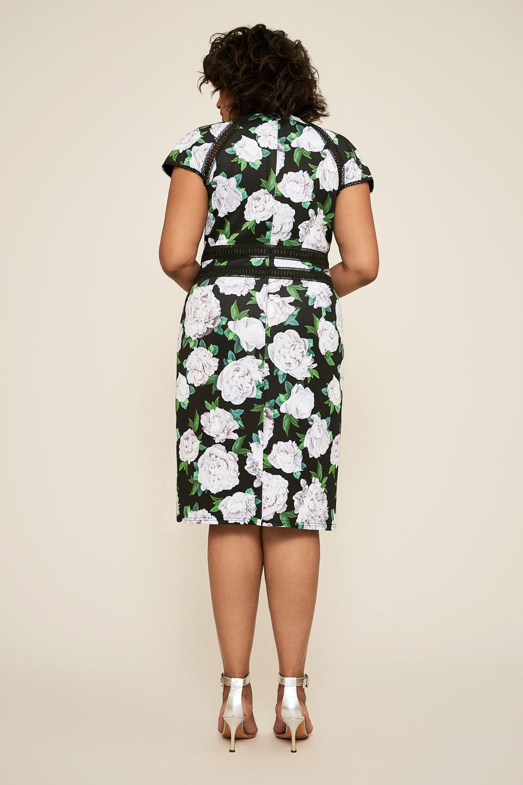 Tadashi Shoji - Indigo Floral Neoprene Dress - PLUS SIZE