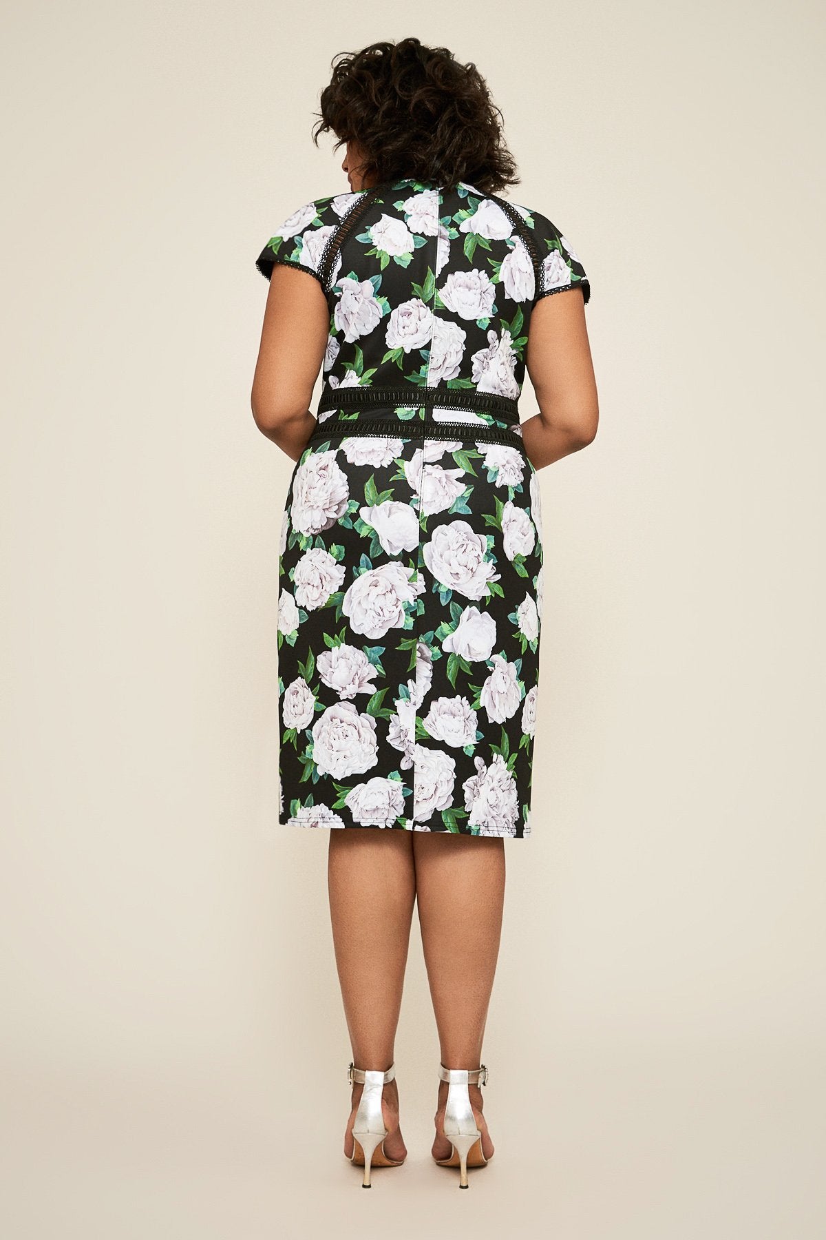 Tadashi Shoji - Indigo Floral Neoprene Dress - PLUS SIZE