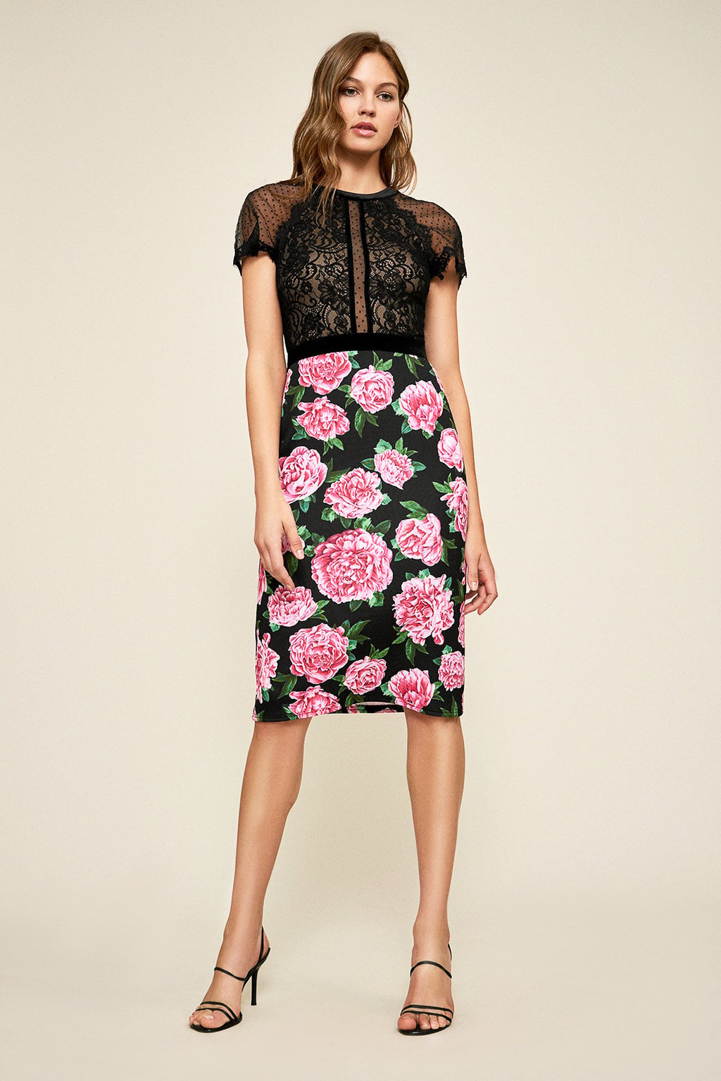 Tadashi Shoji - Rosta Floral Print Dress