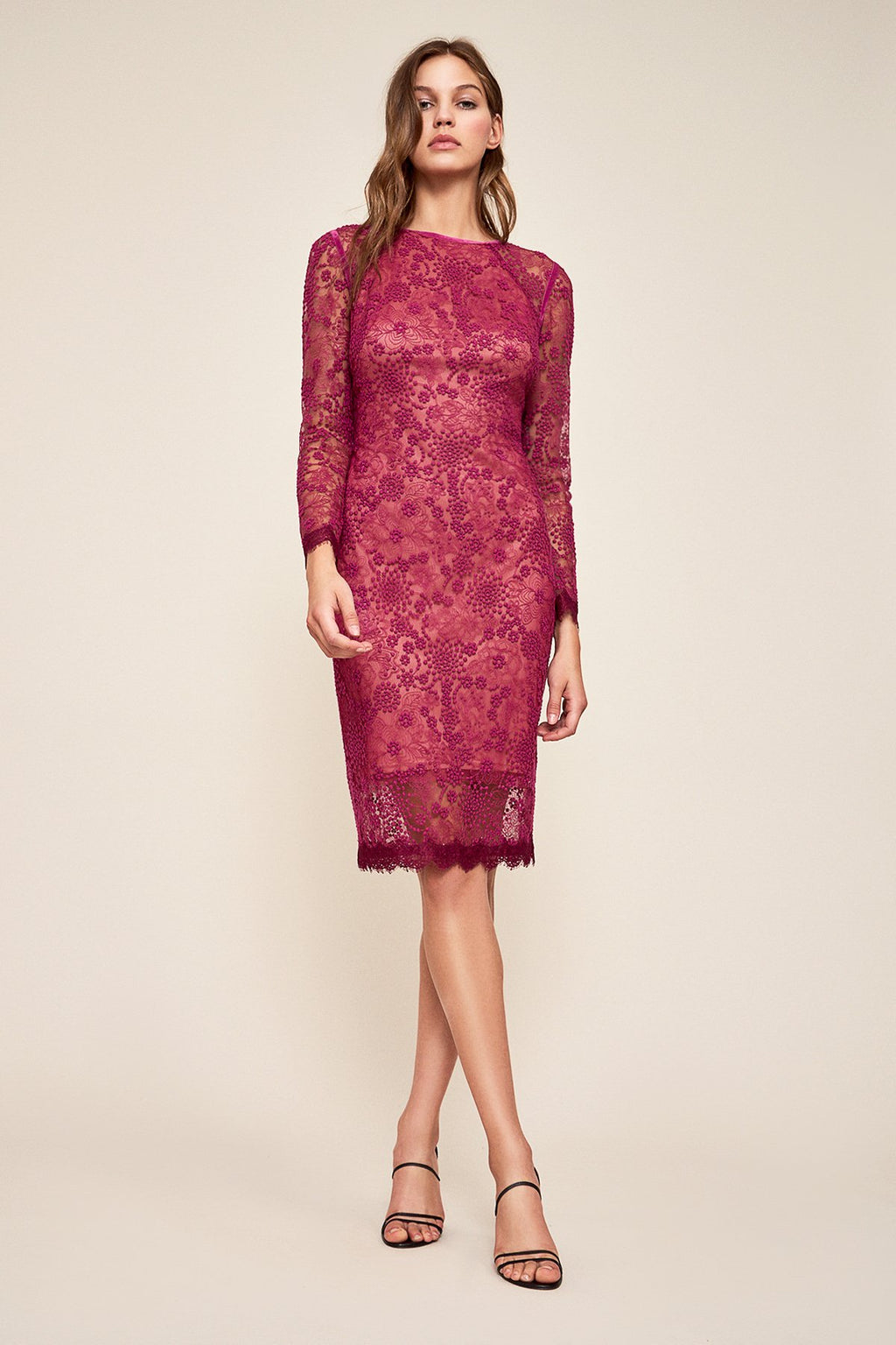 Tadashi Shoji - Evka Lace Embroidered Dress