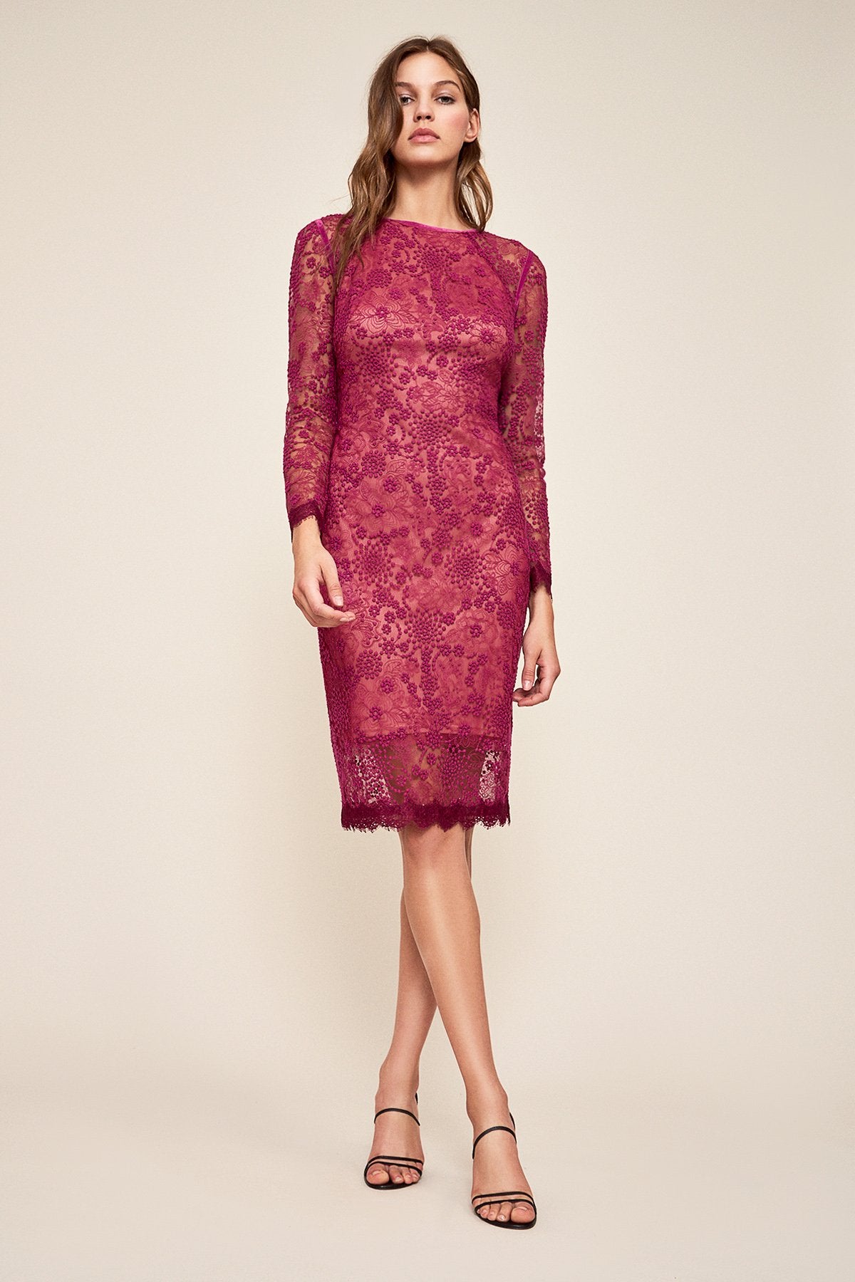 Tadashi Shoji - Evka Lace Embroidered Dress