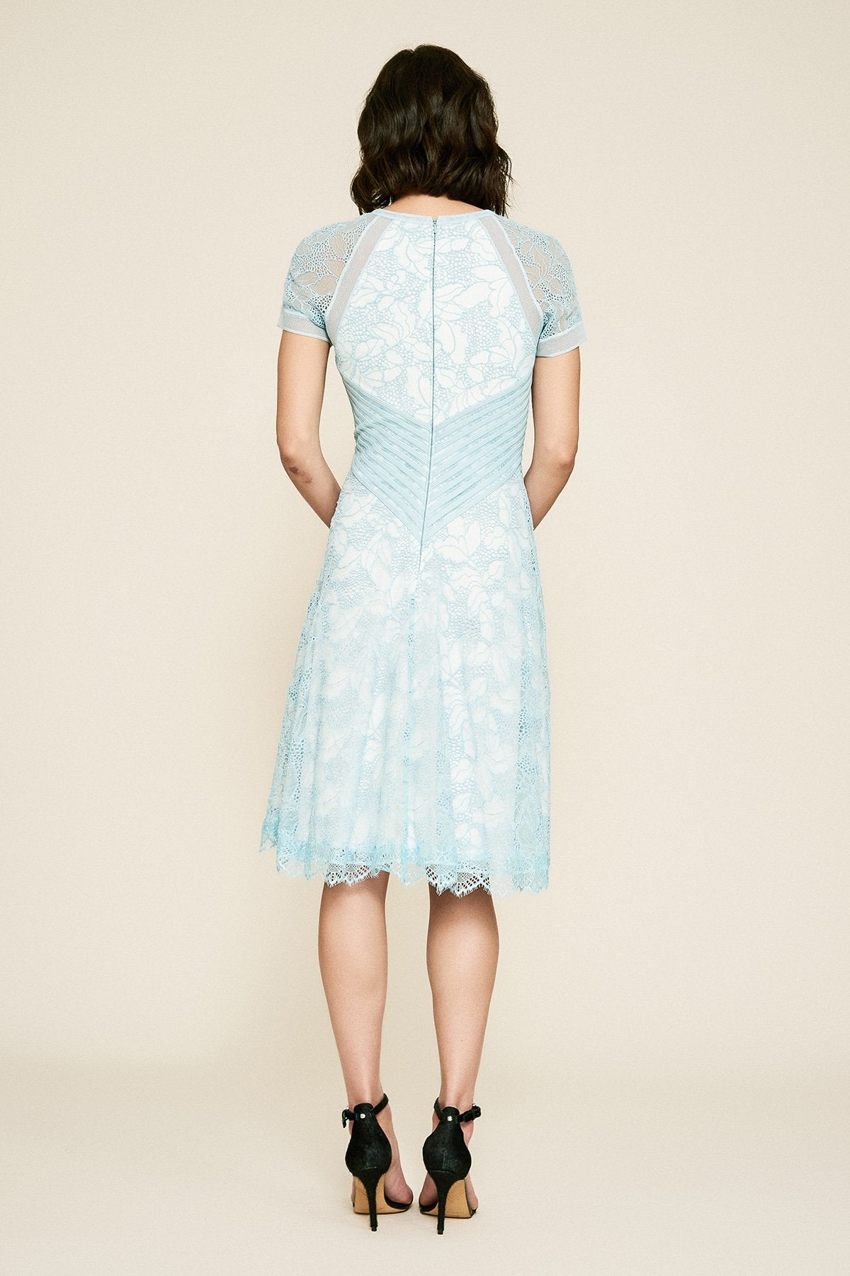 Tadashi Shoji - Martina Short-Sleeve Lace Dress