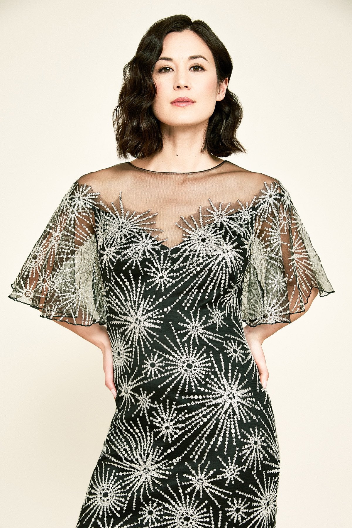 Tadashi Shoji - Musca Embroidered Gown