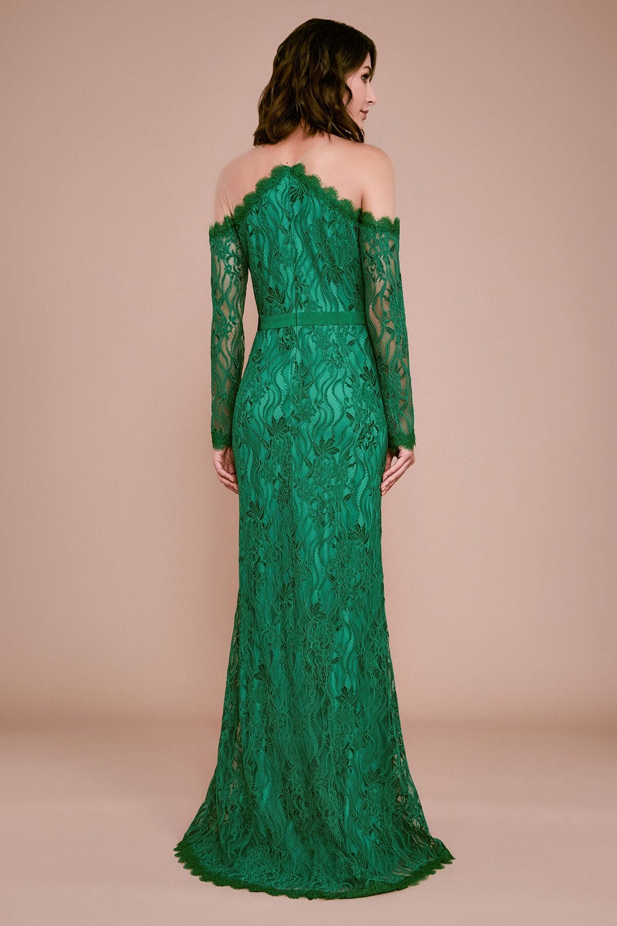 Vera Long-Sleeve Embroidered Lace Gown