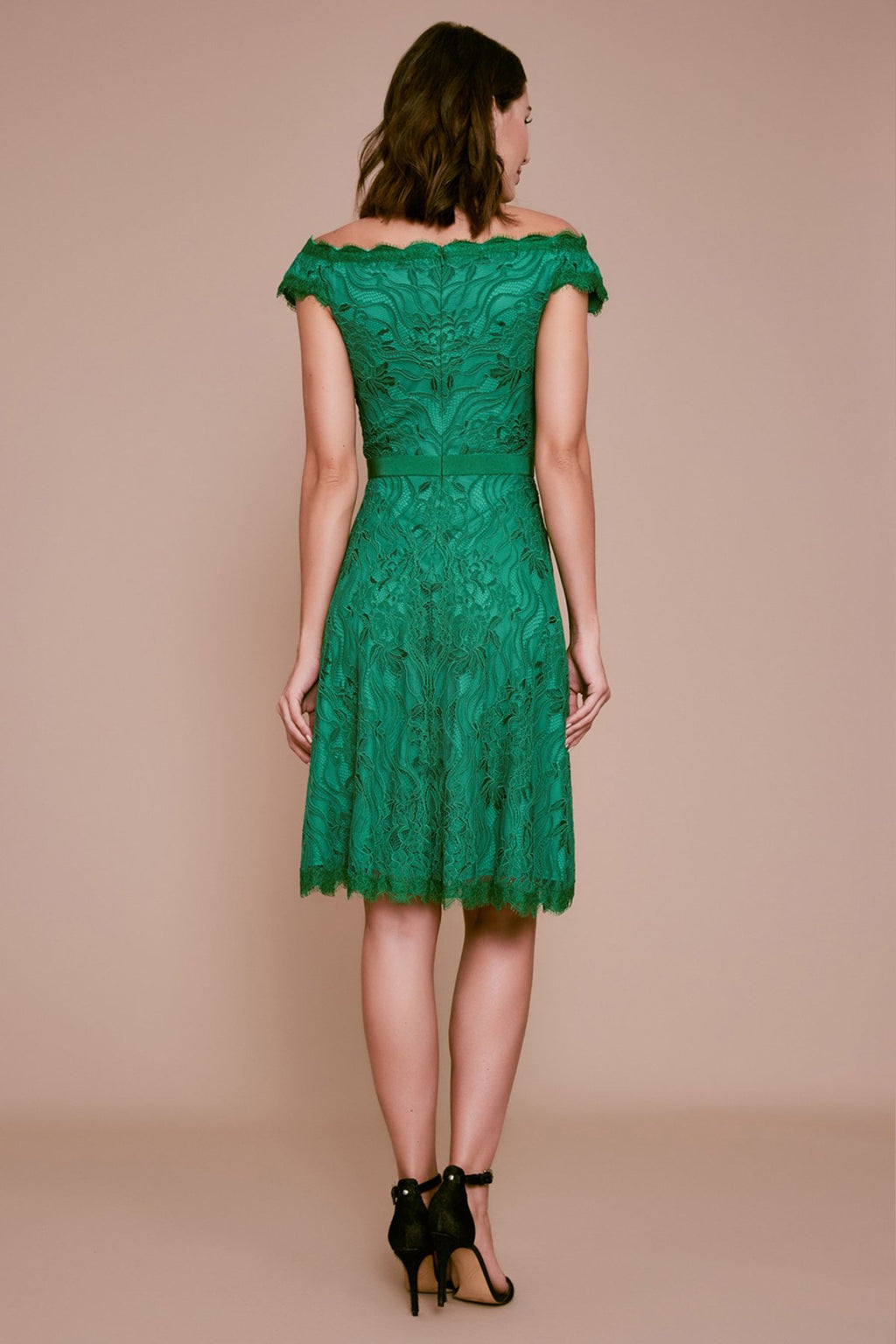 Tadashi Shoji - Collis Off-The-Shoulder Lace Dress