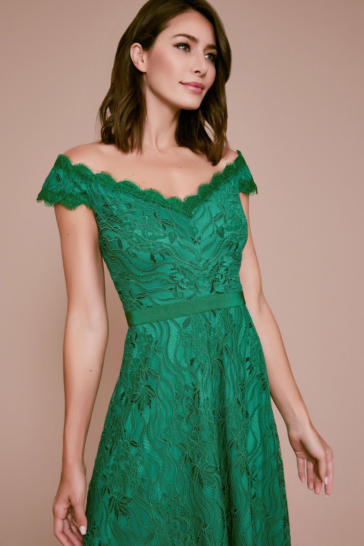 Tadashi Shoji - Collis Off-The-Shoulder Lace Dress