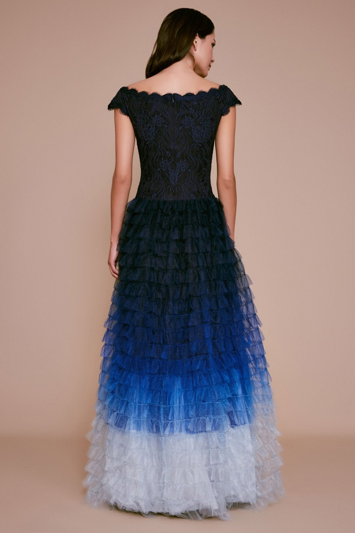 Tadashi Shoji - Nikko Lace Ombre Tulle Gown