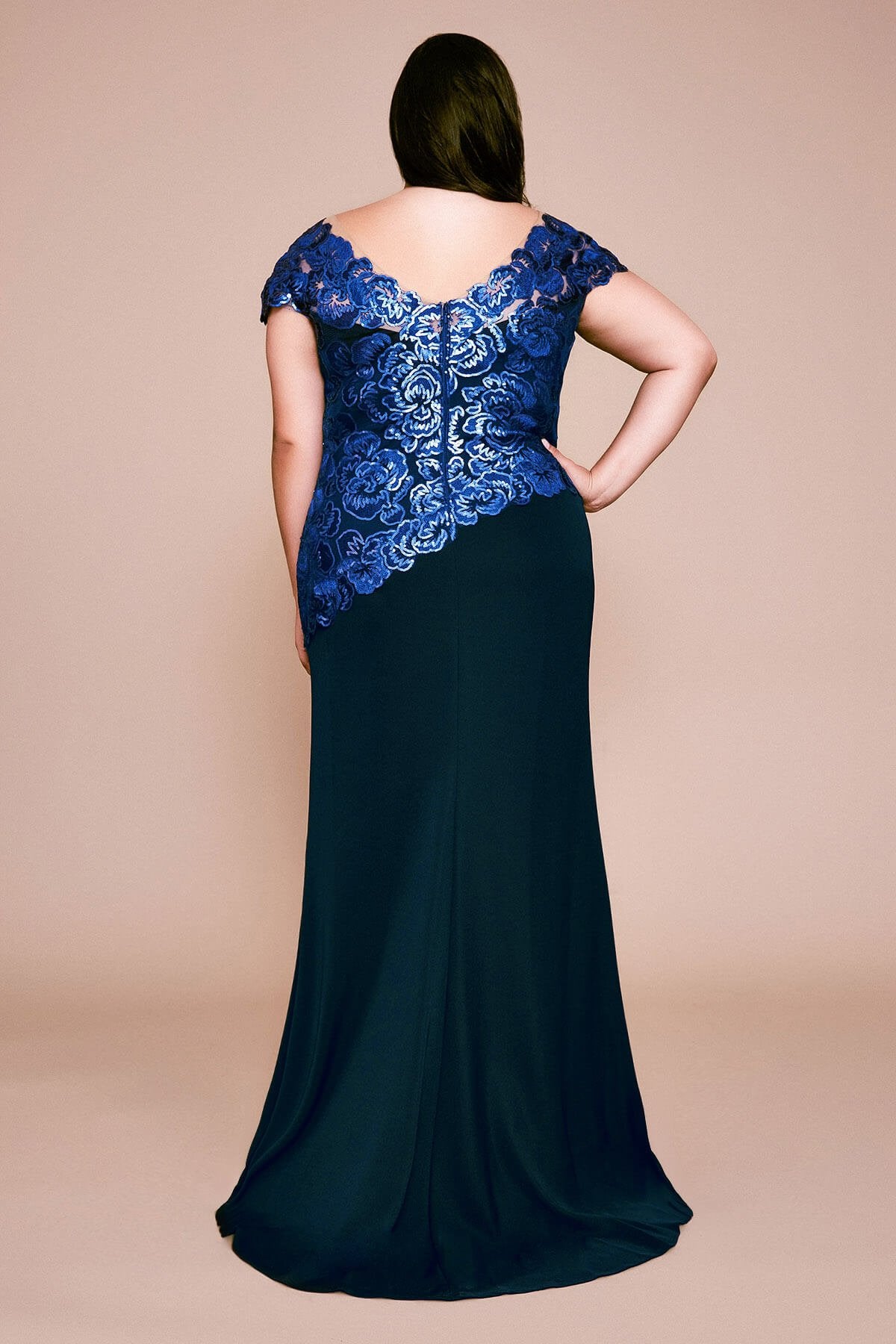 Tadashi Shoji - Alvaro Embroidered Crepe Gown - PLUS SIZE
