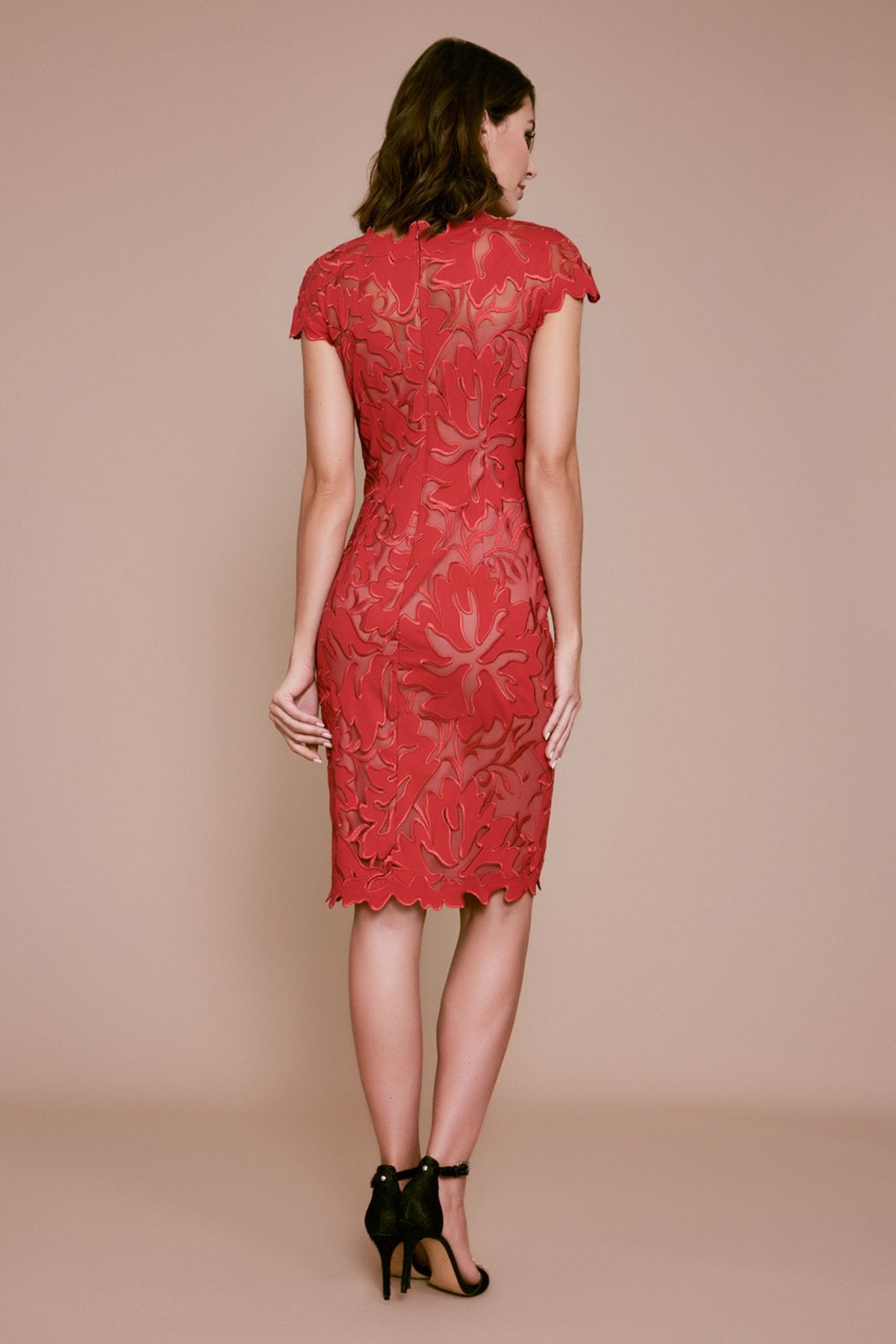 Tadashi Shoji - Lupine Floral Applique Dress