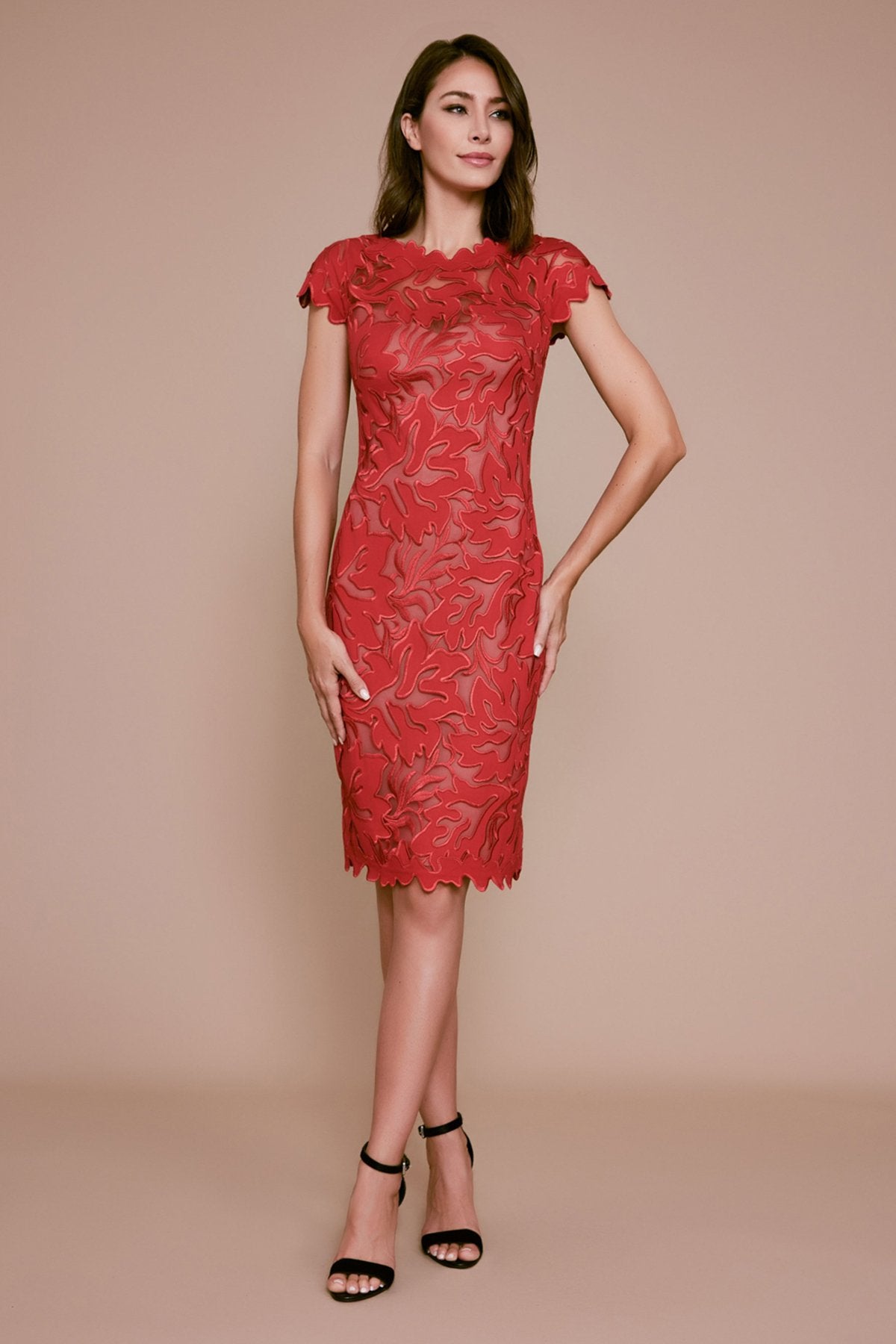 Tadashi Shoji - Lupine Floral Applique Dress