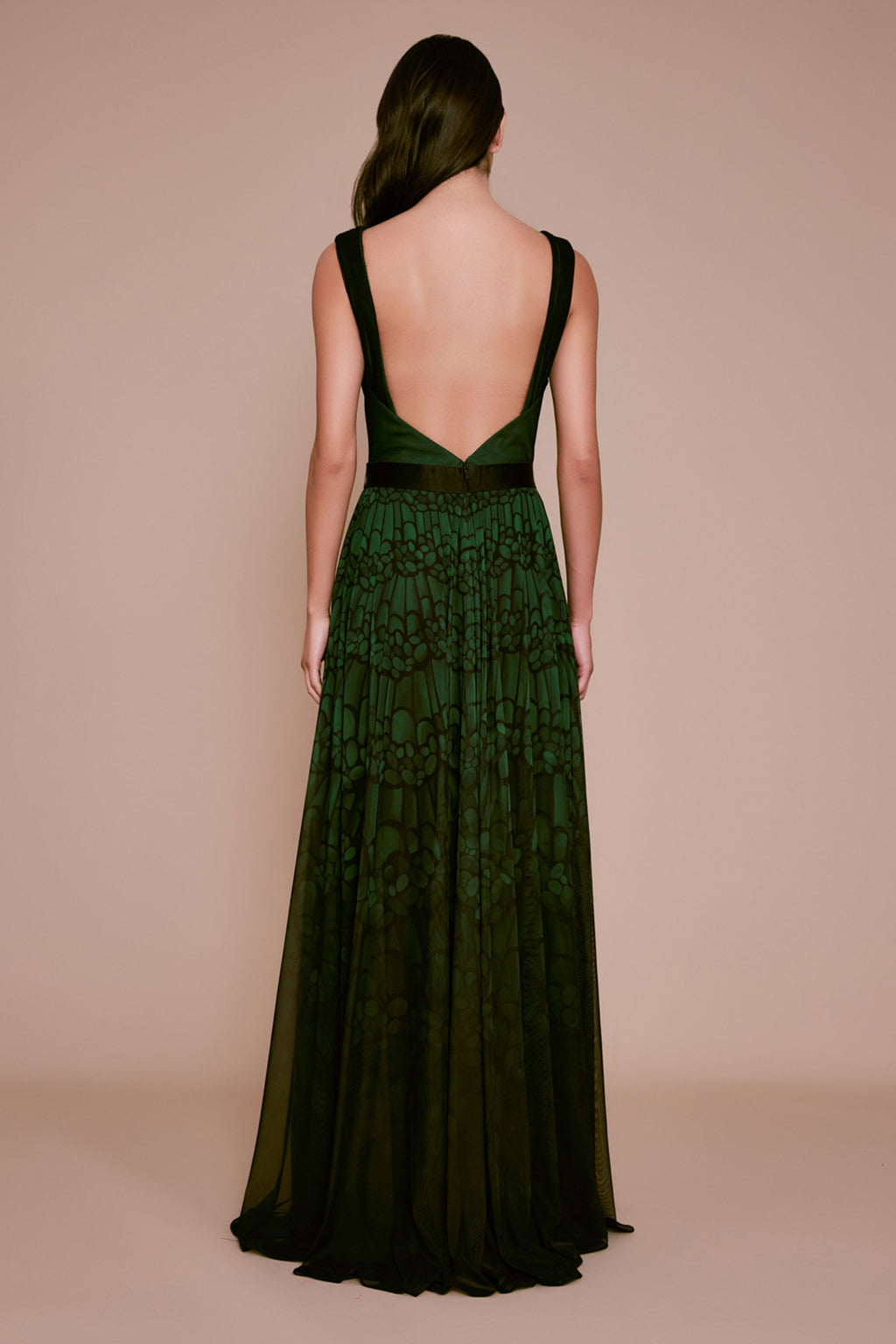 Tadashi Shoji - Abaco Draped Mesh Sleeveless Gown