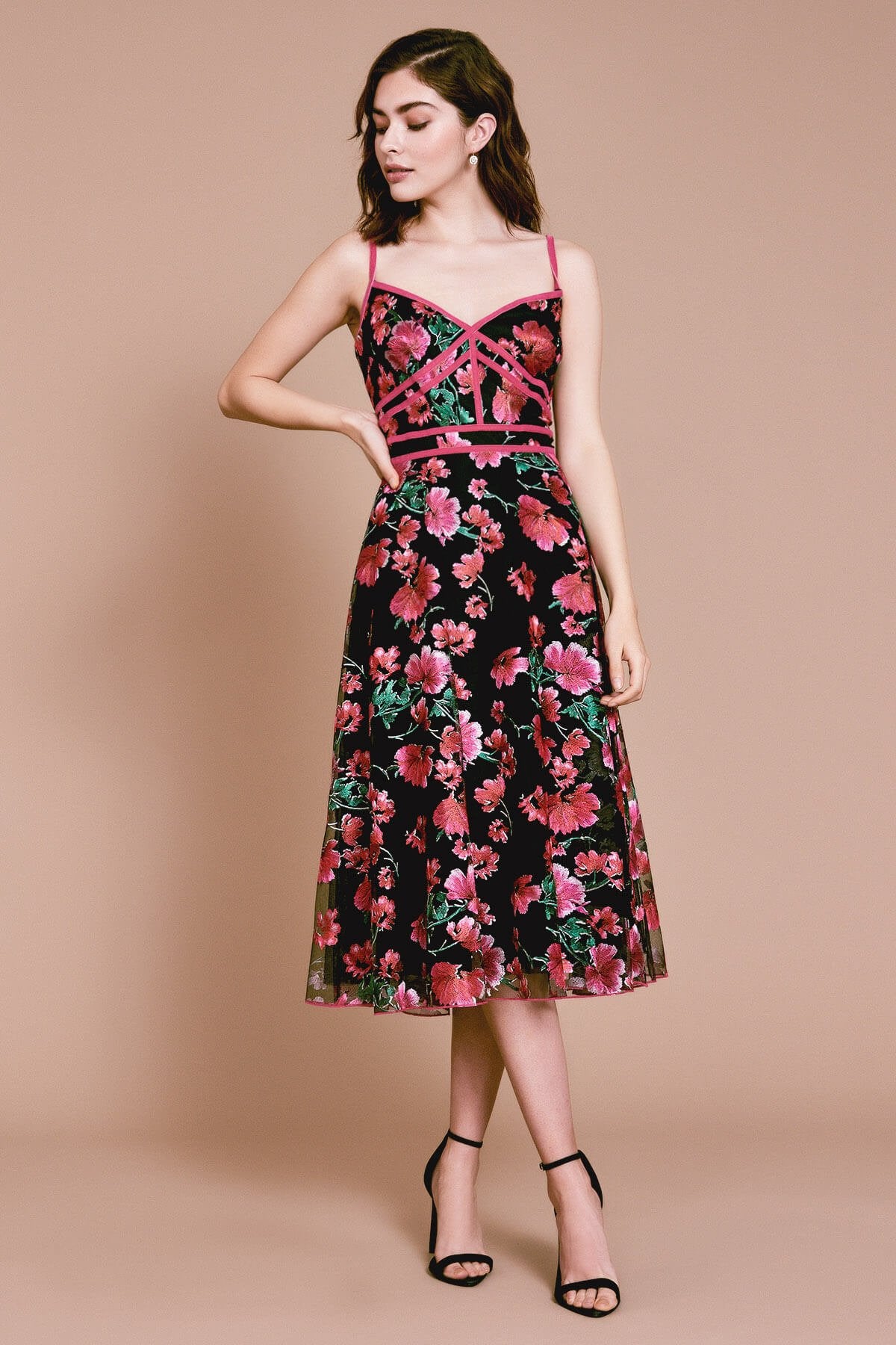 Posie Sleeveless Floral Embroidered Dress