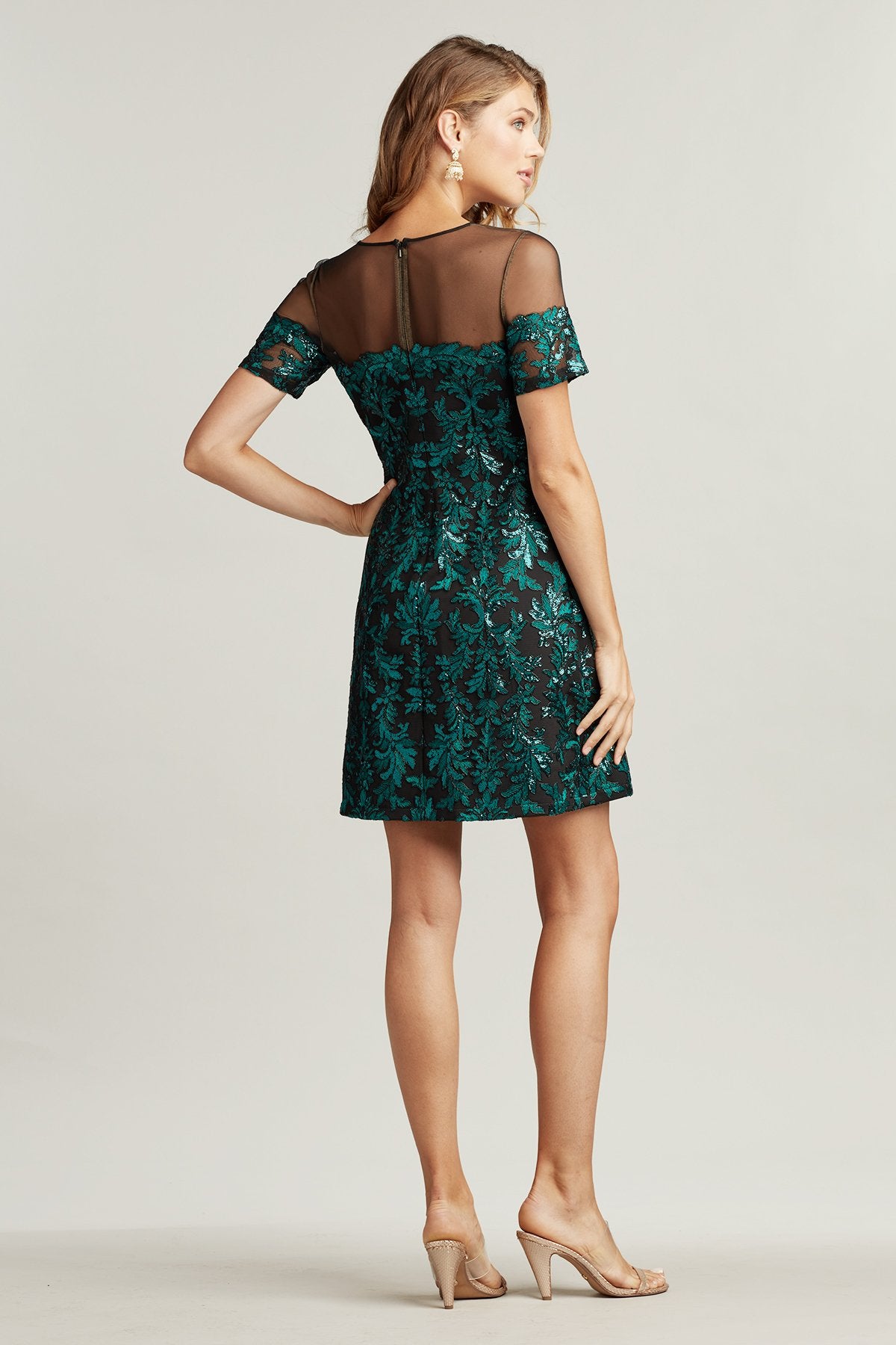 Ivette Embroidered Appliqu_ Dress