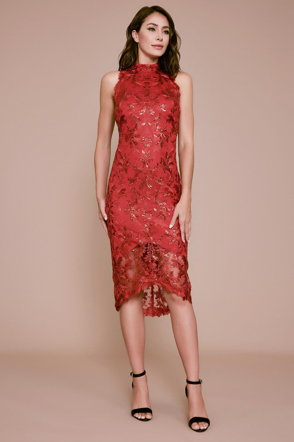 Tadashi Shoji - Chan Sequin Embroidered Midi Dress