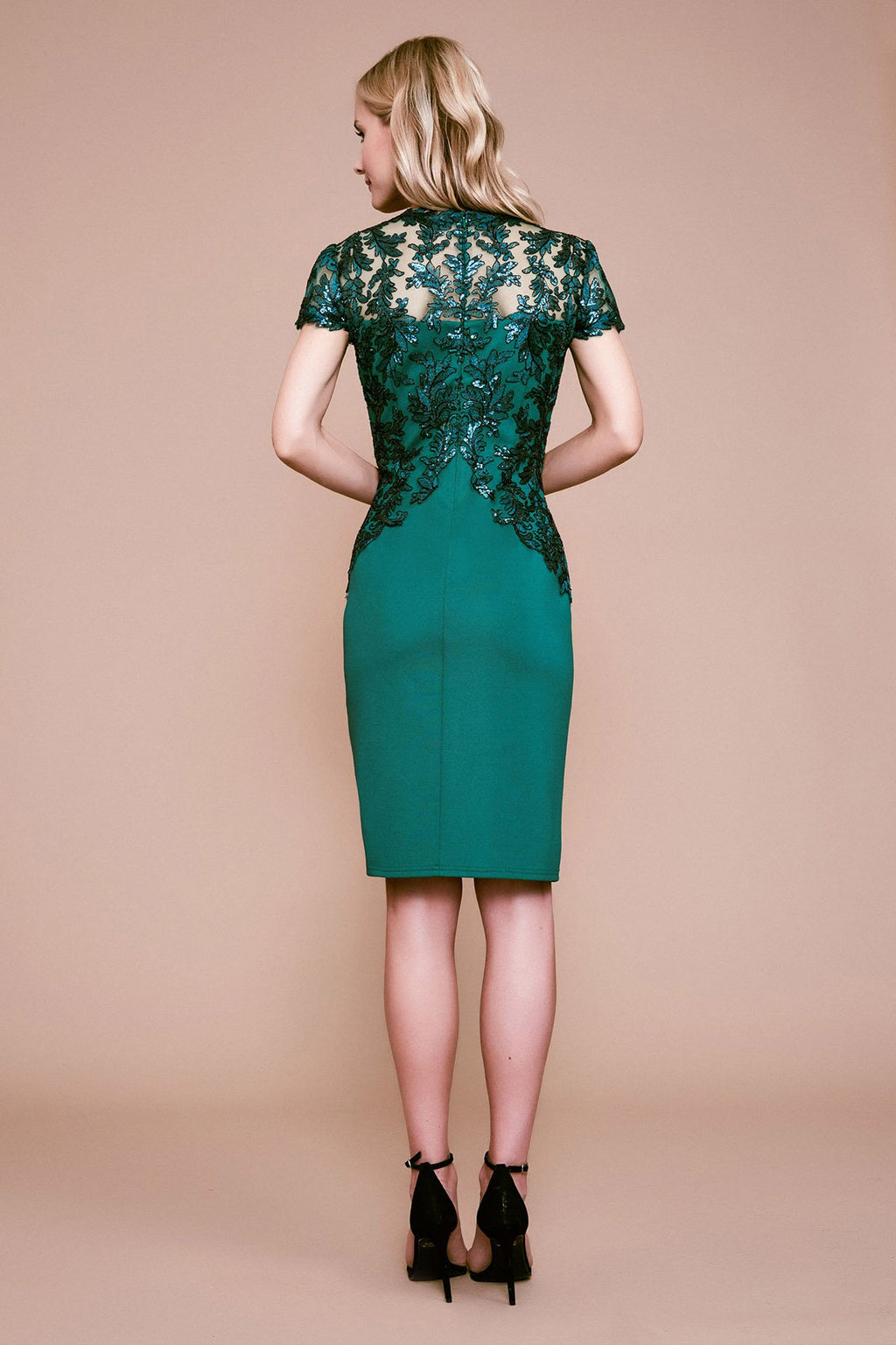 Tadashi Shoji - Zinnia Sequin Embroidered Neoprene Dress