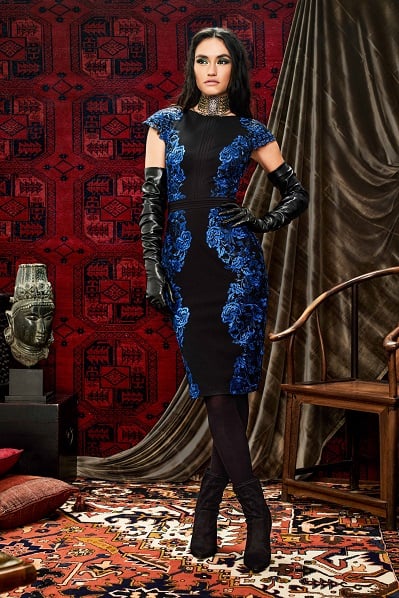 Bayer Embroidered Appliqu_ Dress