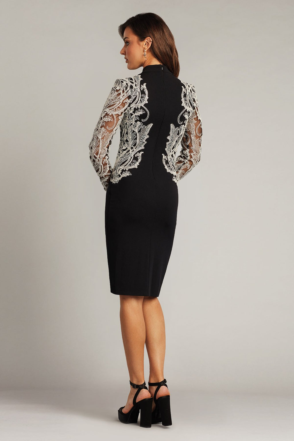 Coyle Embroidered Illusion Dress