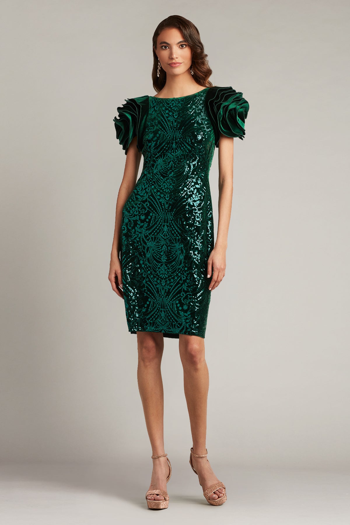 Braya Sequin Velvet Rosette Sleeve Dress
