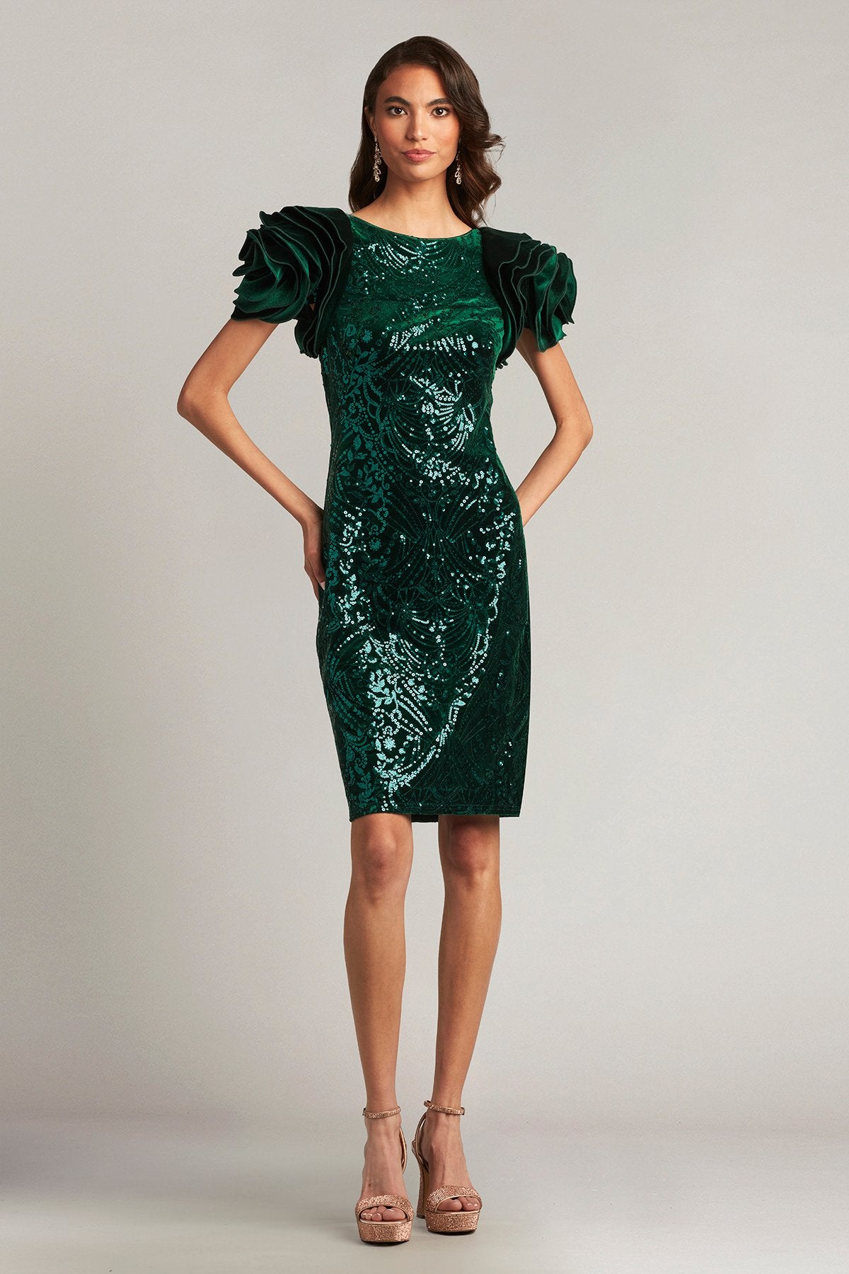 Braya Sequin Velvet Rosette Sleeve Dress