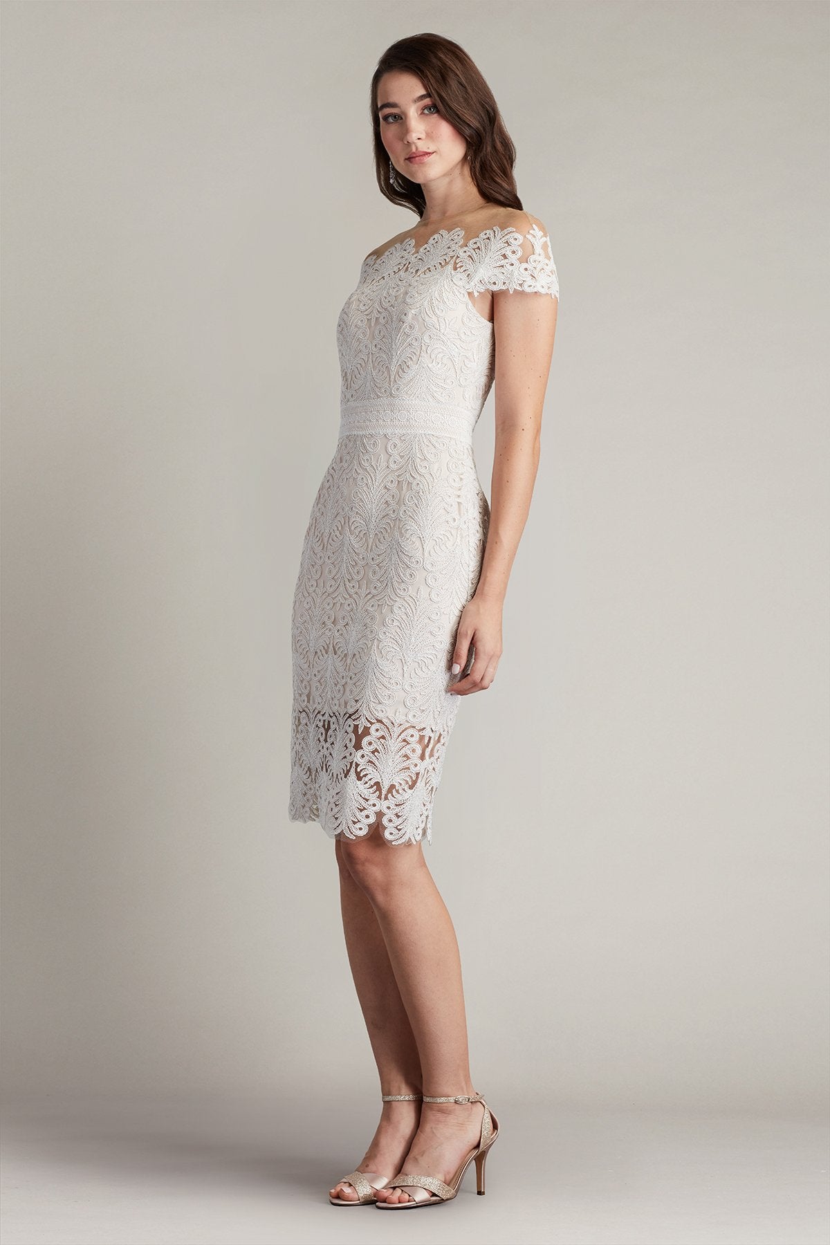 Elin Embroidered Tulle Illusion Dress