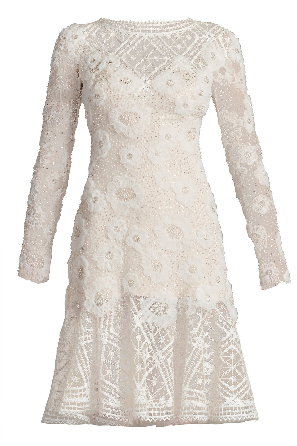 Idly Embroidered Illusion Dress