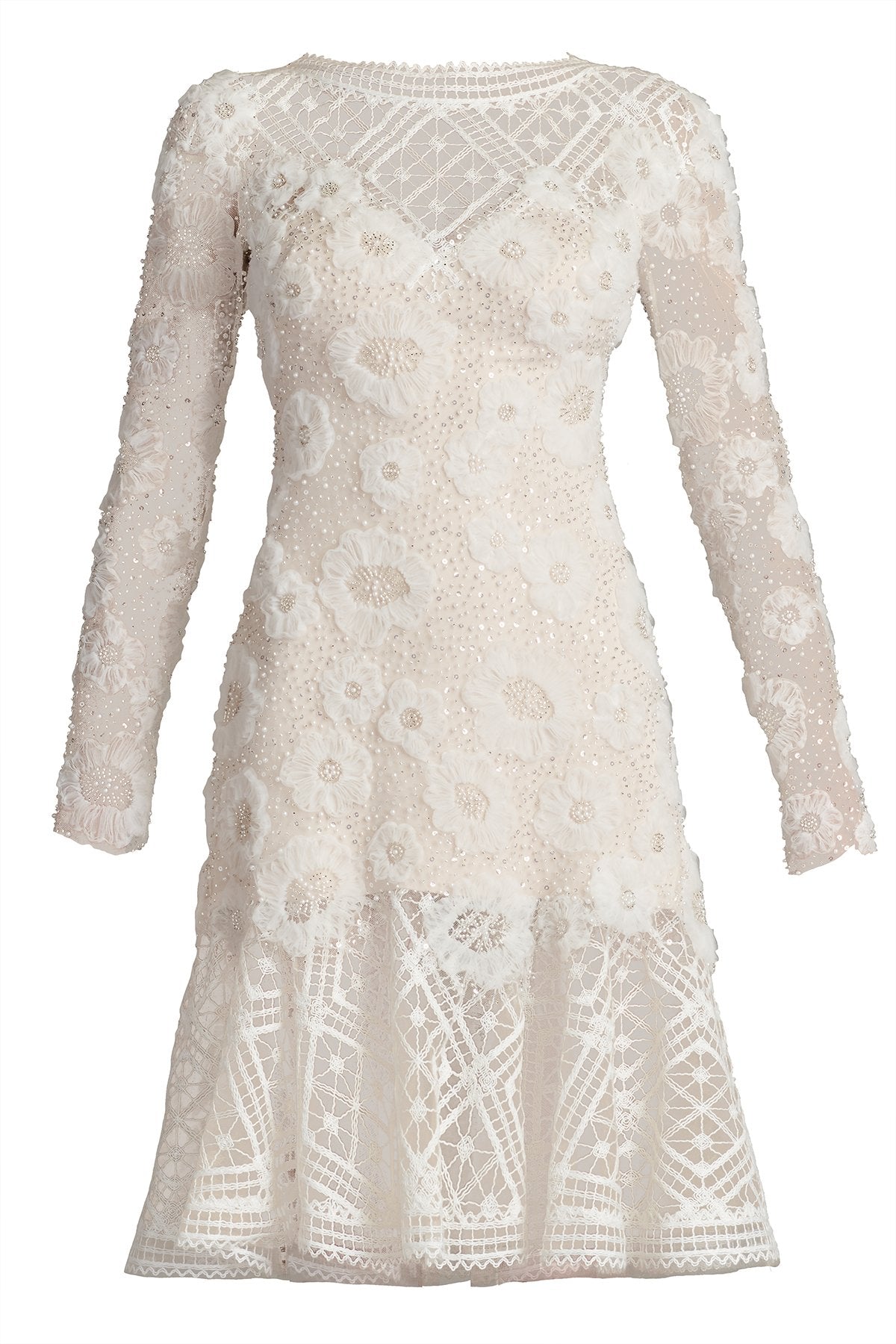 Idly Embroidered Illusion Dress
