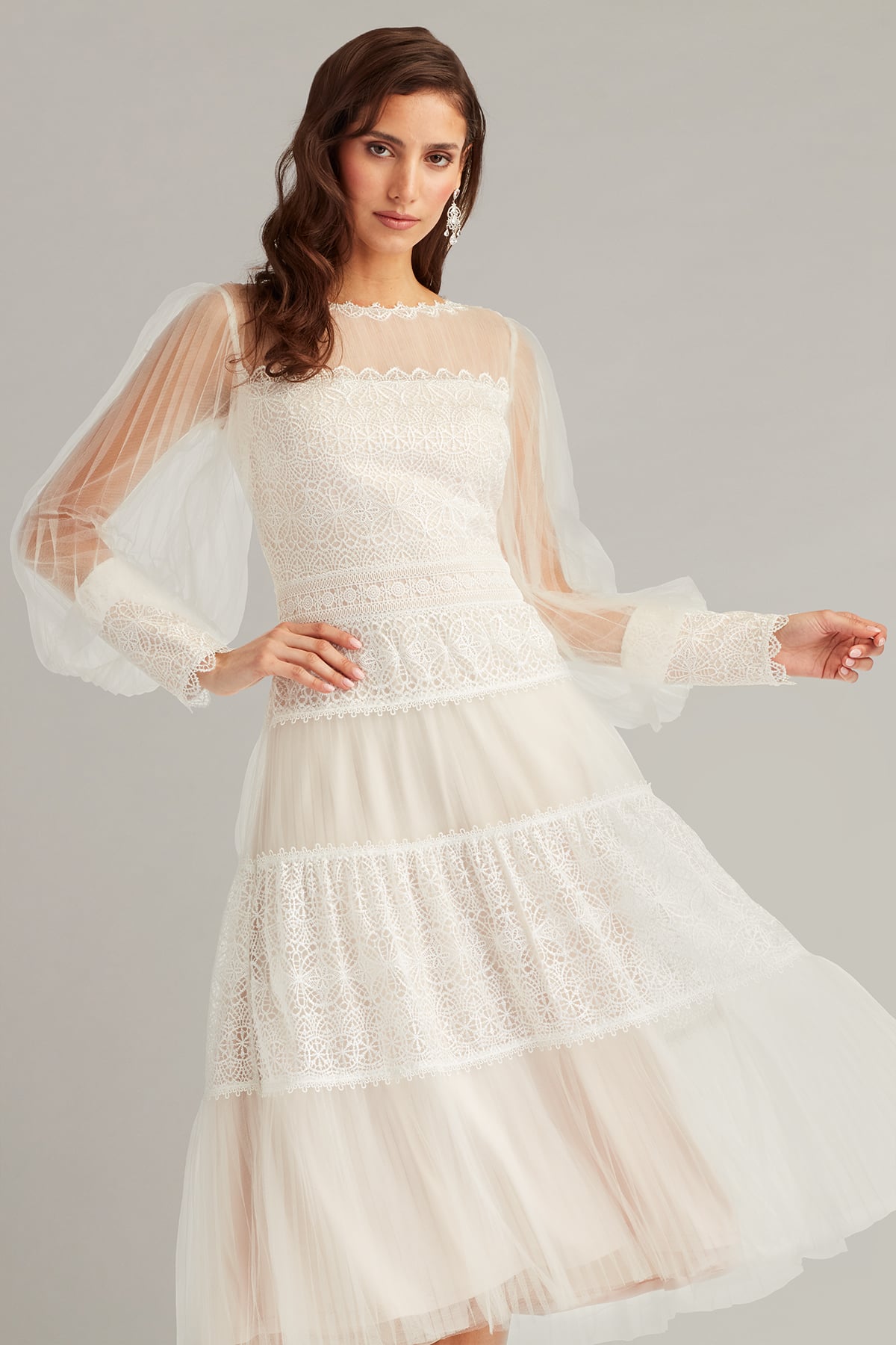 Anaka Pleated Tulle Embroidered Midi Dress