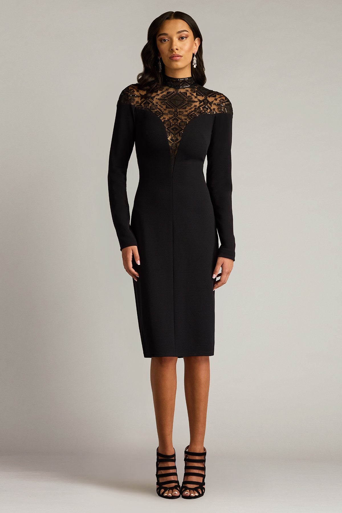 Ebony Deep V Illusion Dress – Tadashi Shoji Official Online Boutique