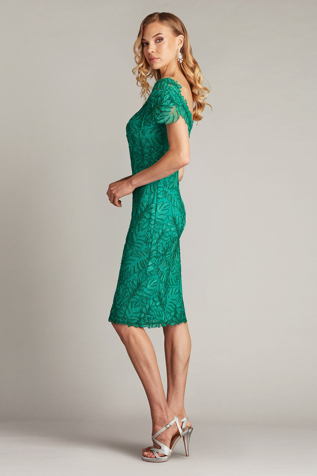 Burgess Embroidered Lace Dress