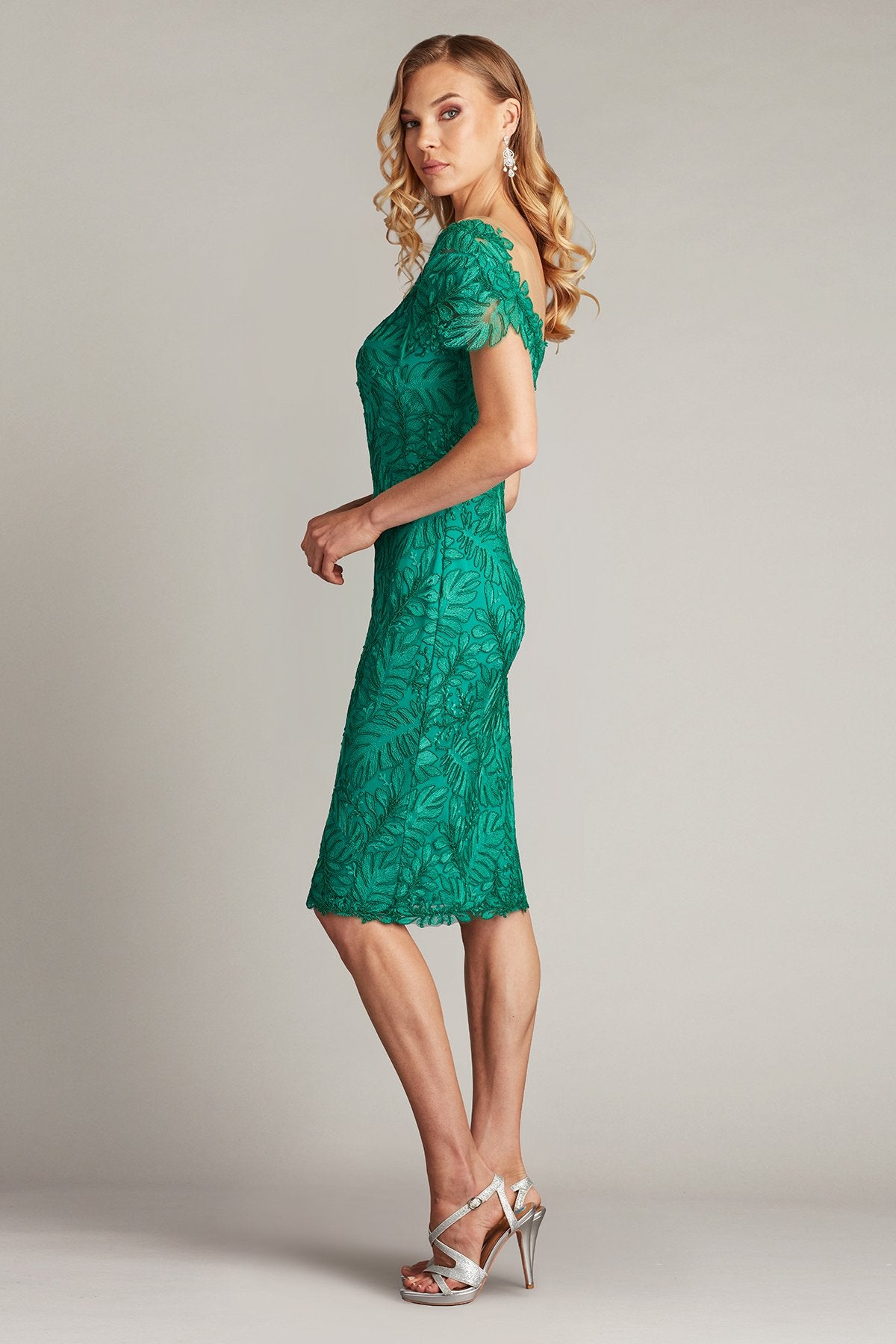 Burgess Embroidered Lace Dress  Tadashi Shoji Official Online Boutique