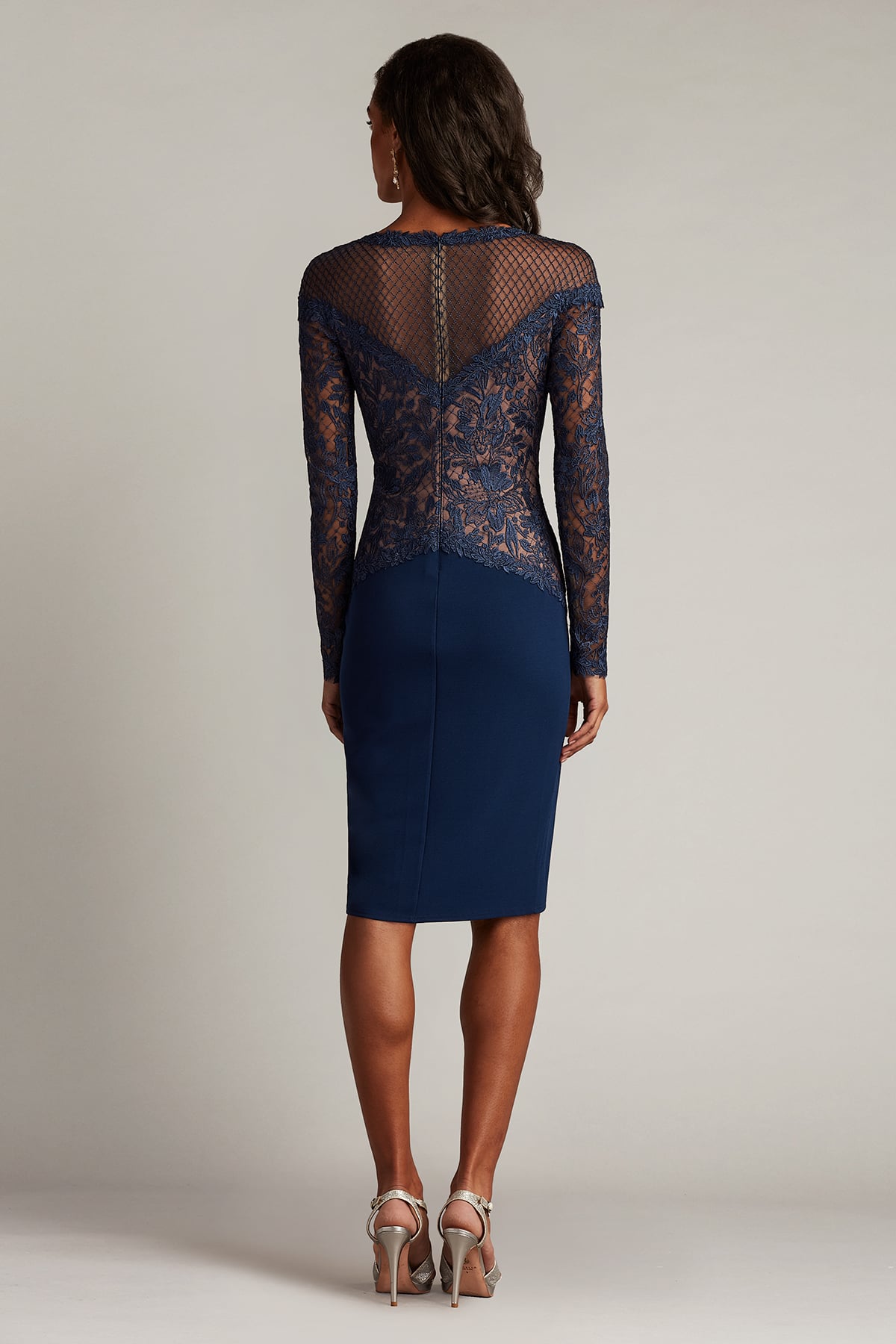 Lisette Embroidered Illusion Dress  Tadashi Shoji Official Online Boutique