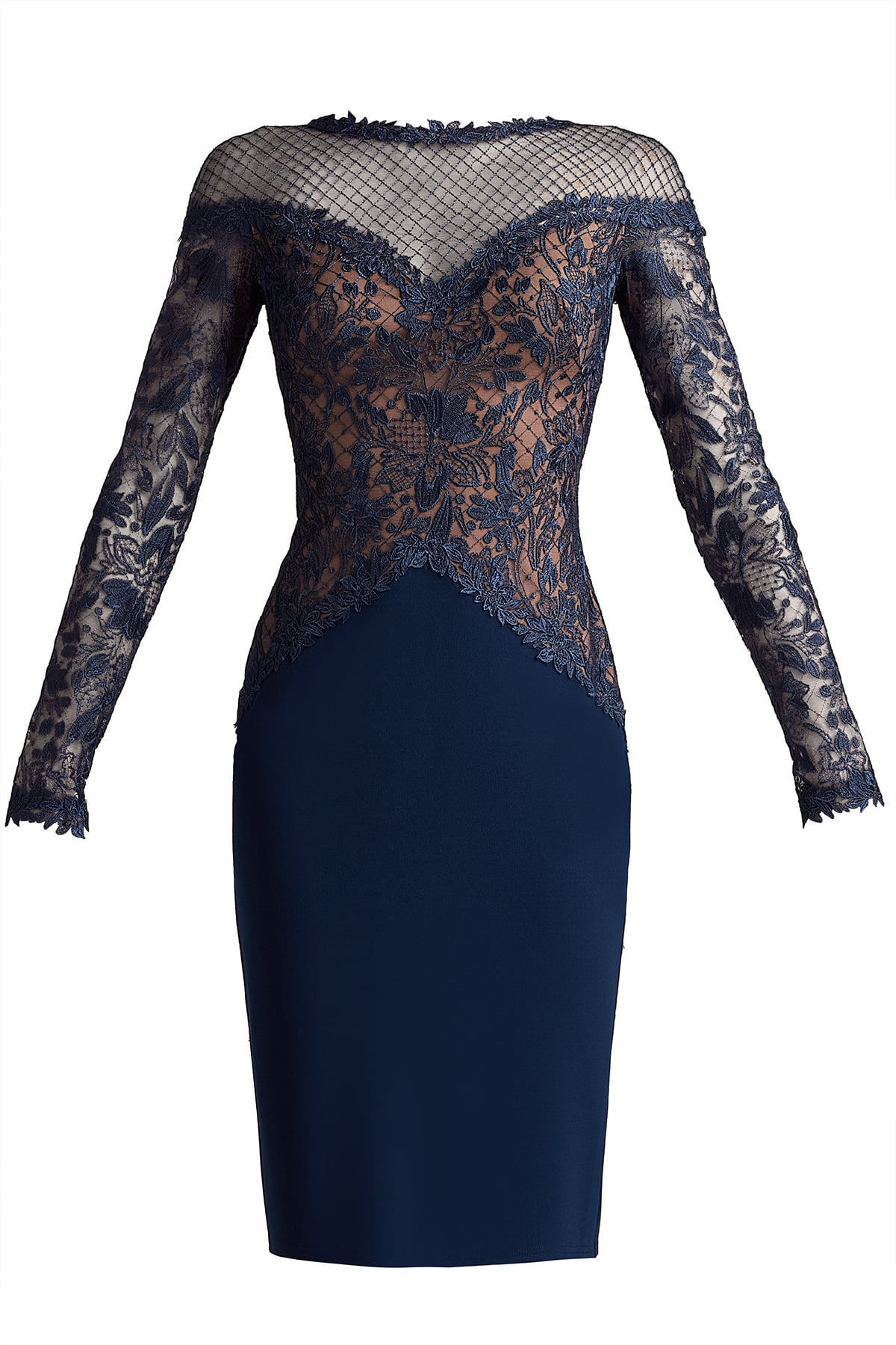 Lisette Embroidered Illusion Dress – Tadashi Shoji Official Online Boutique