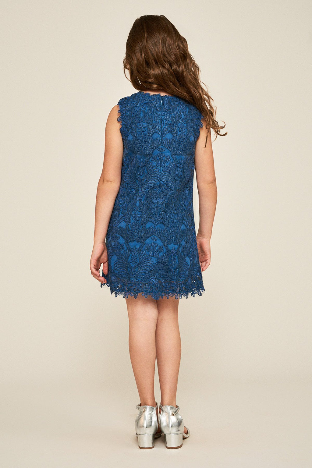 Honeysuckle Corded Embroidery Dress