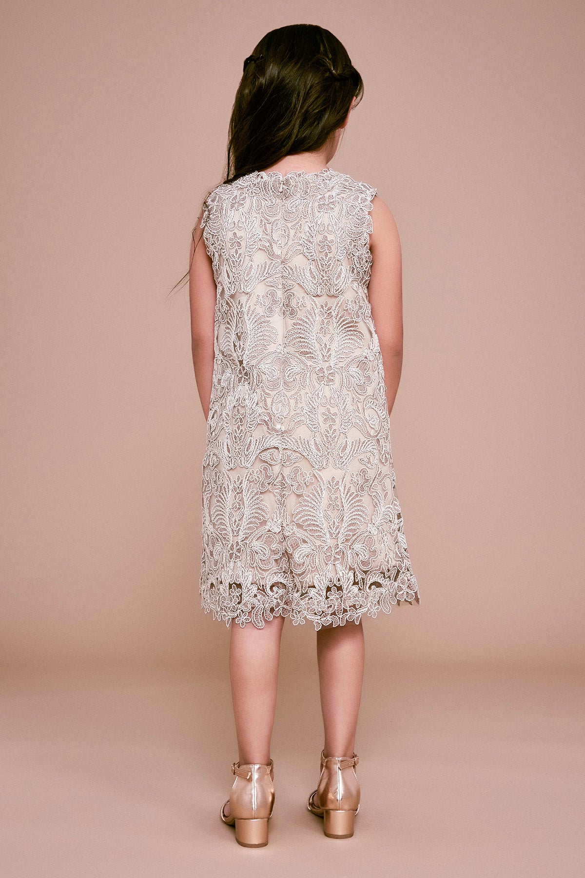 Honeysuckle Corded Embroidery Dress
