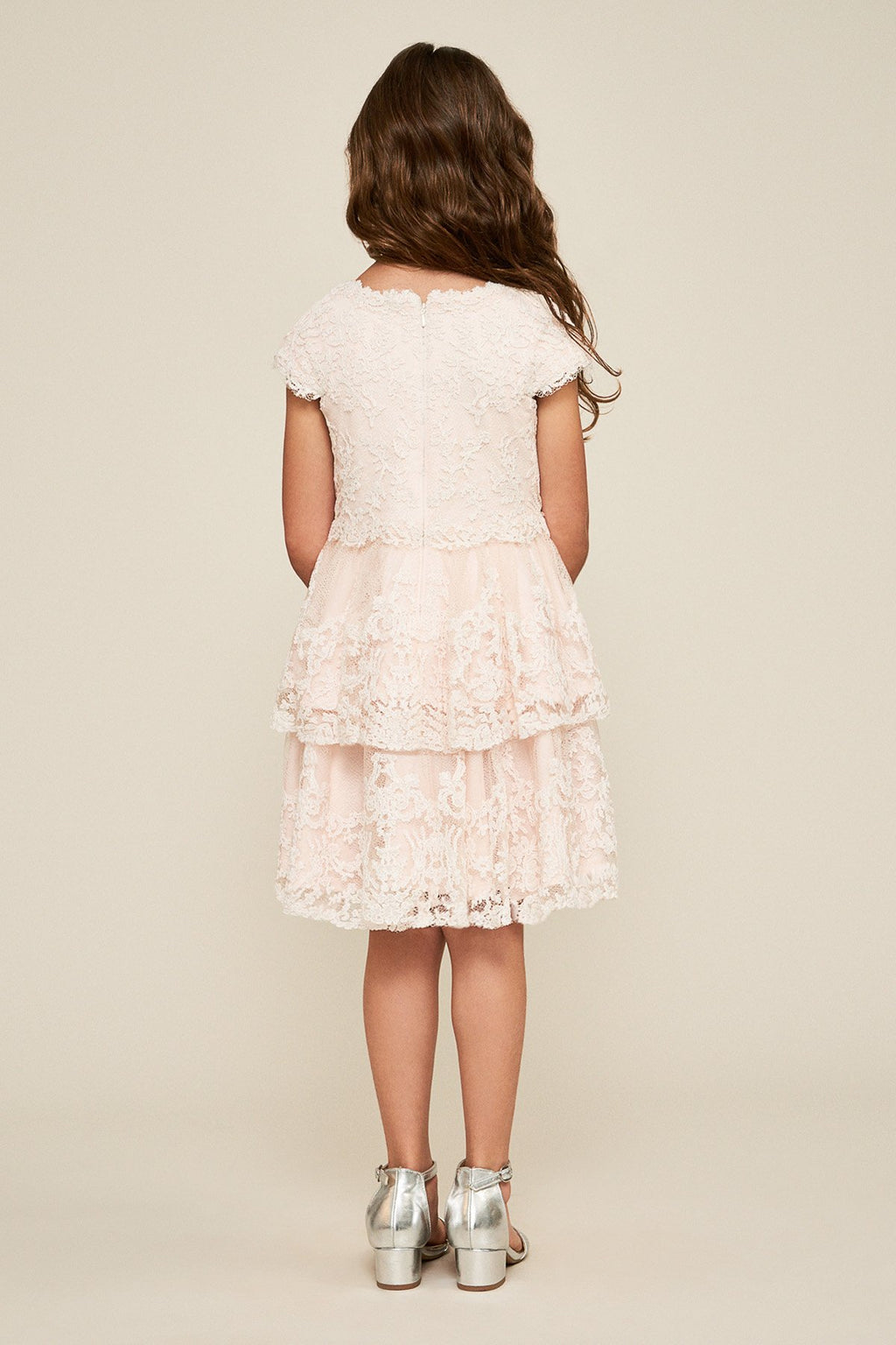 Tadashi Shoji - Boganita Embroidered Tulle Dress