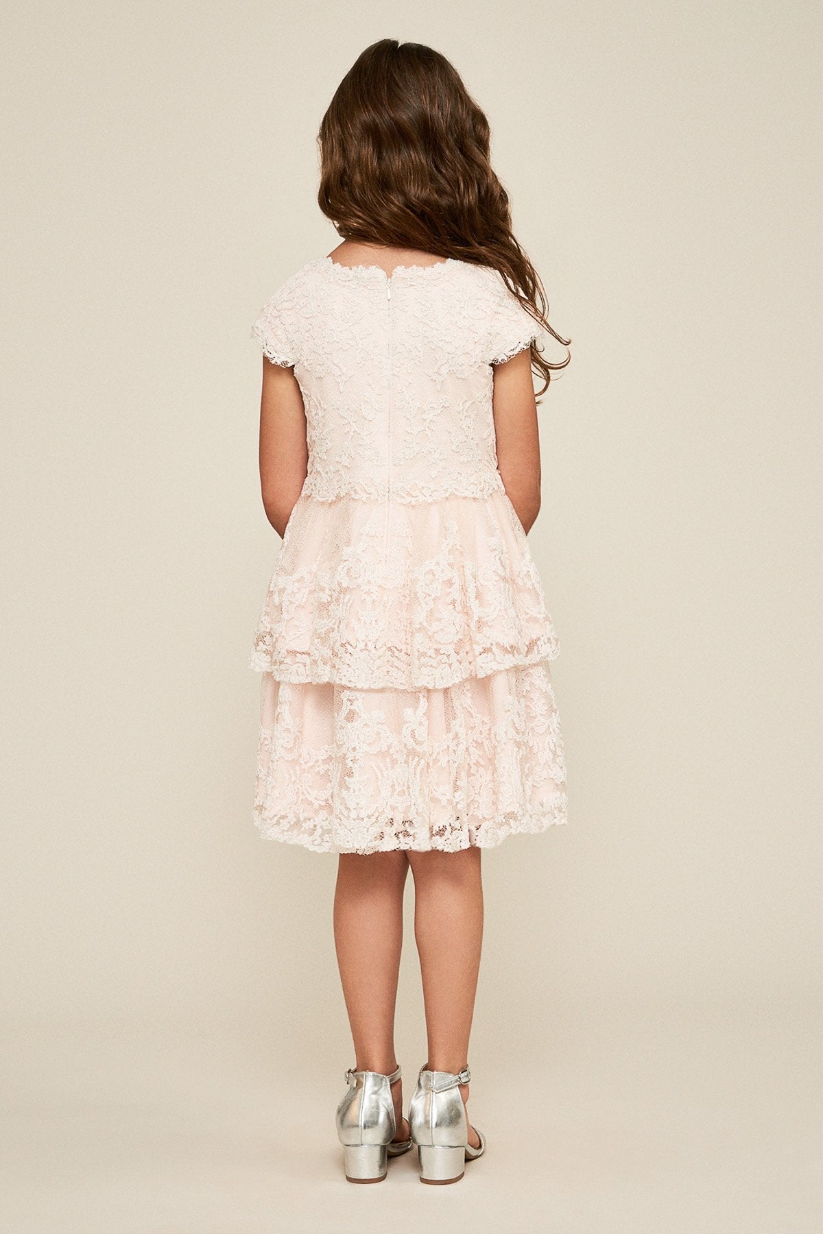 Tadashi Shoji - Boganita Embroidered Tulle Dress