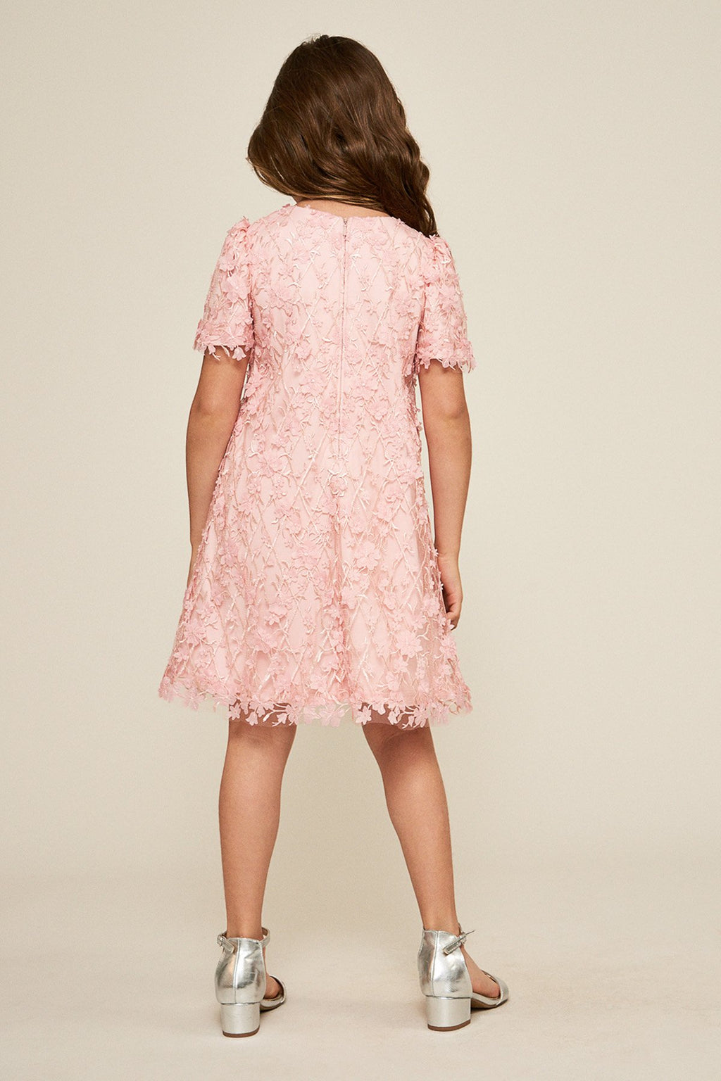 Tadashi Shoji - Binxita Appliqu_ Dress