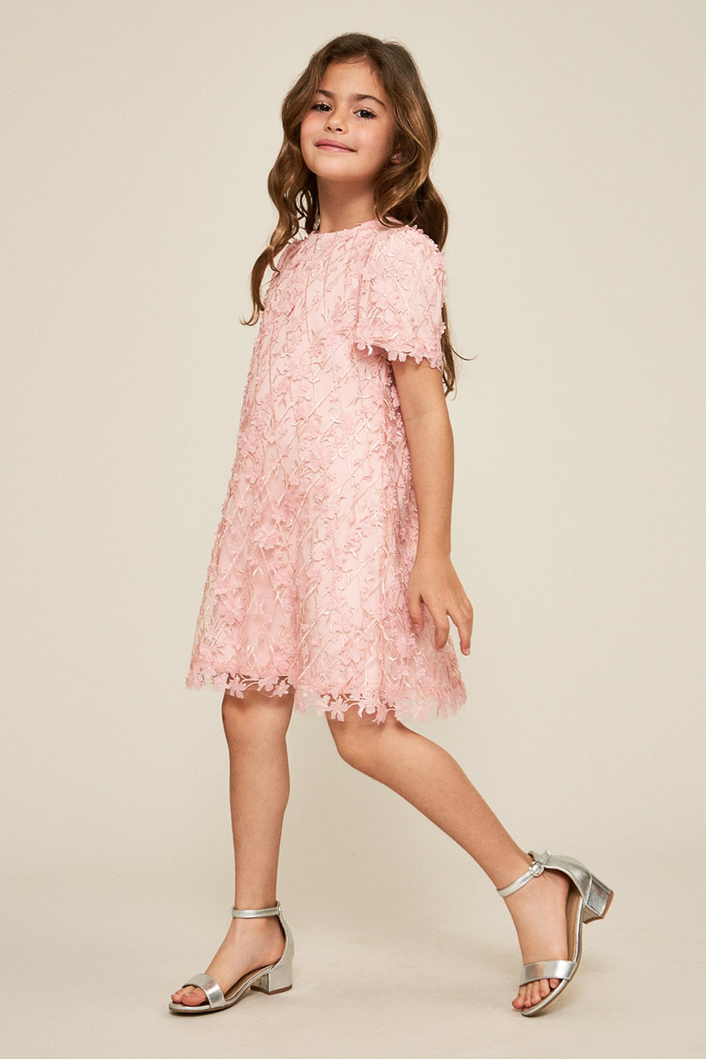 Tadashi Shoji - Binxita Appliqué Dress