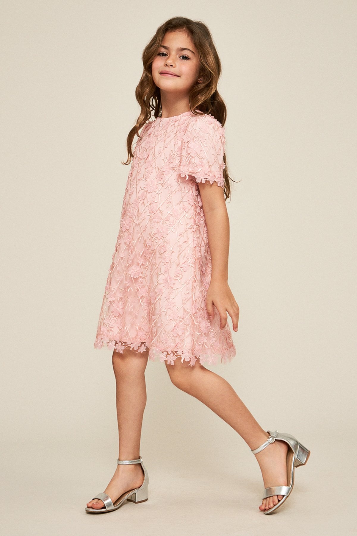 Tadashi Shoji - Binxita Appliqué Dress